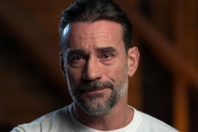 CM Punk WWE Unreal