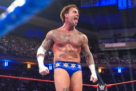 cm punk wwe