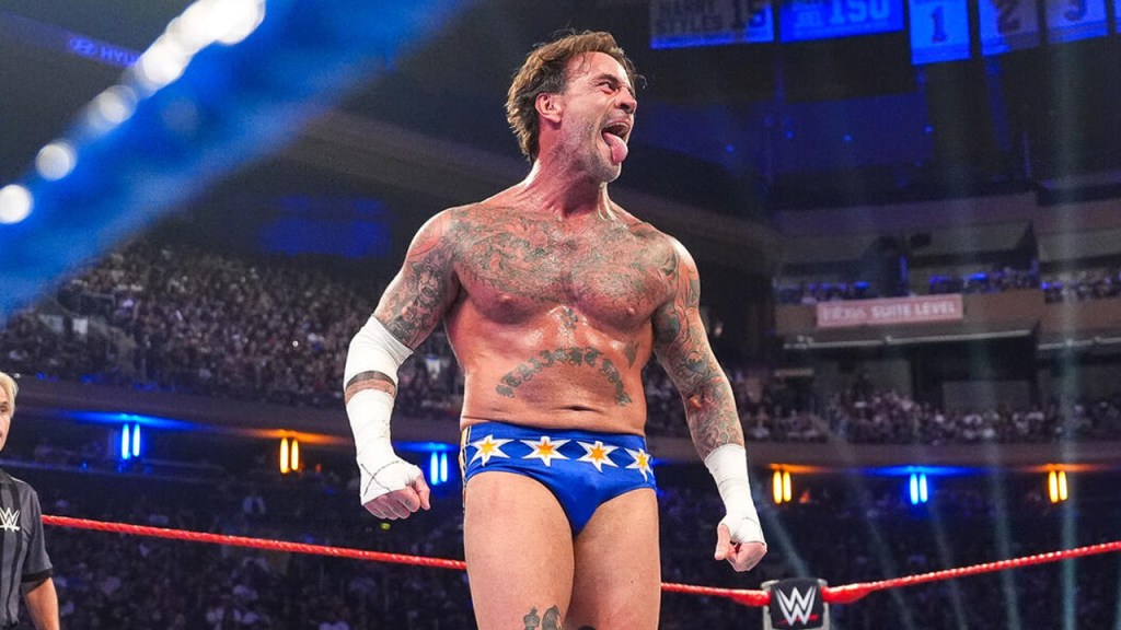 cm punk wwe