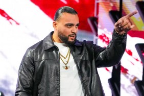 mike santana wwe