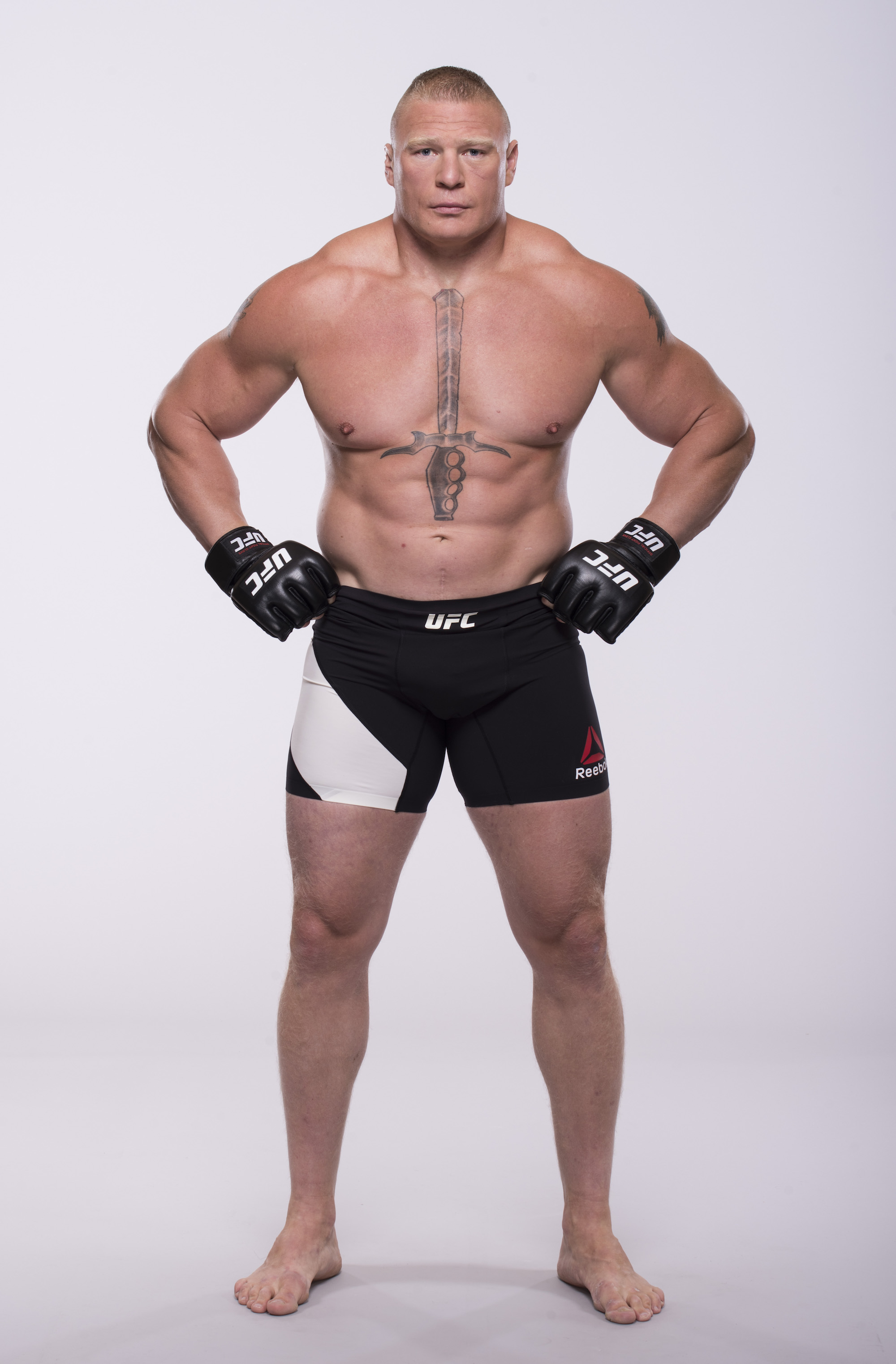 Brock Lesnar UFC 200 #17