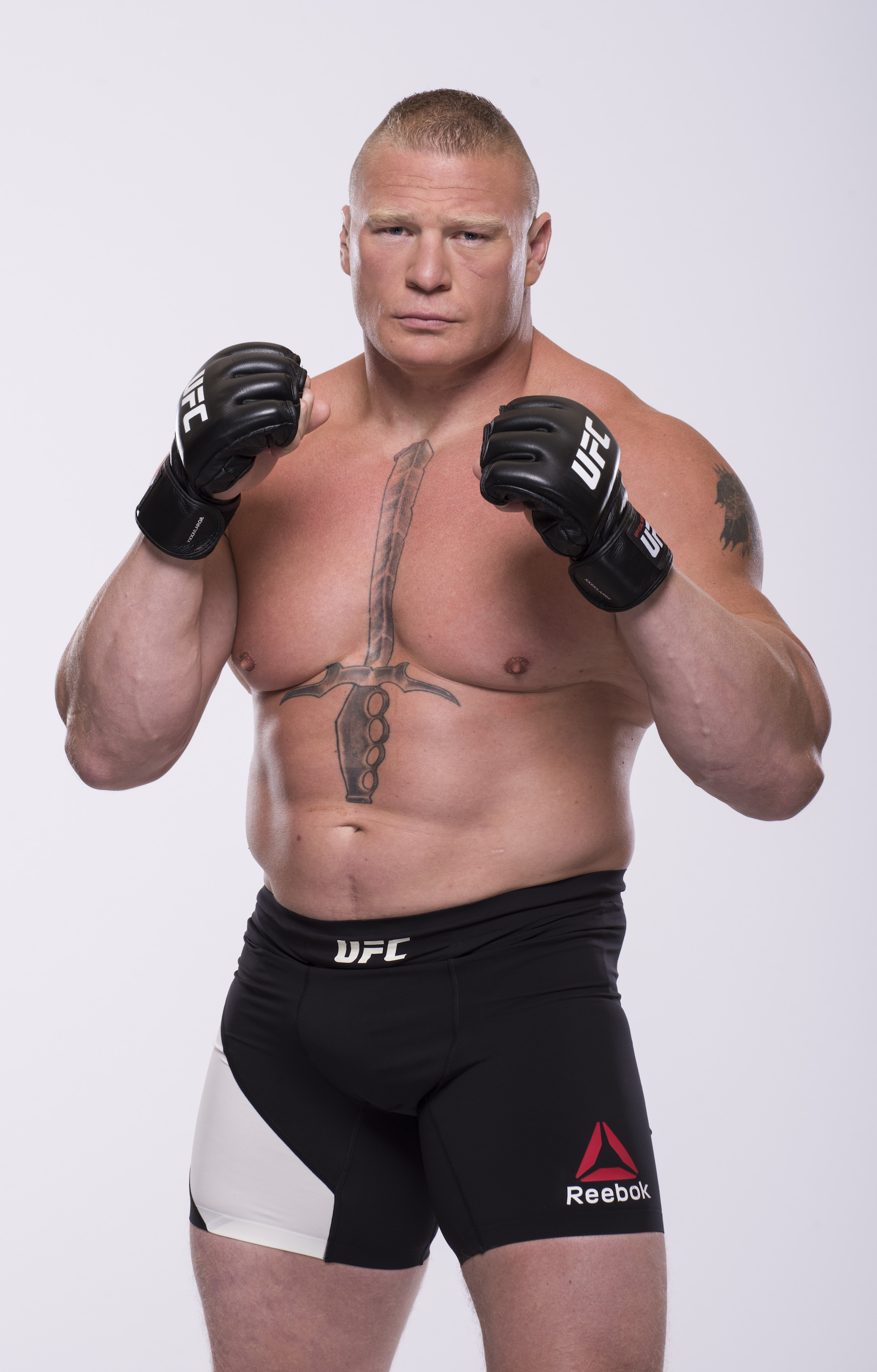 Brock Lesnar UFC 200 #18