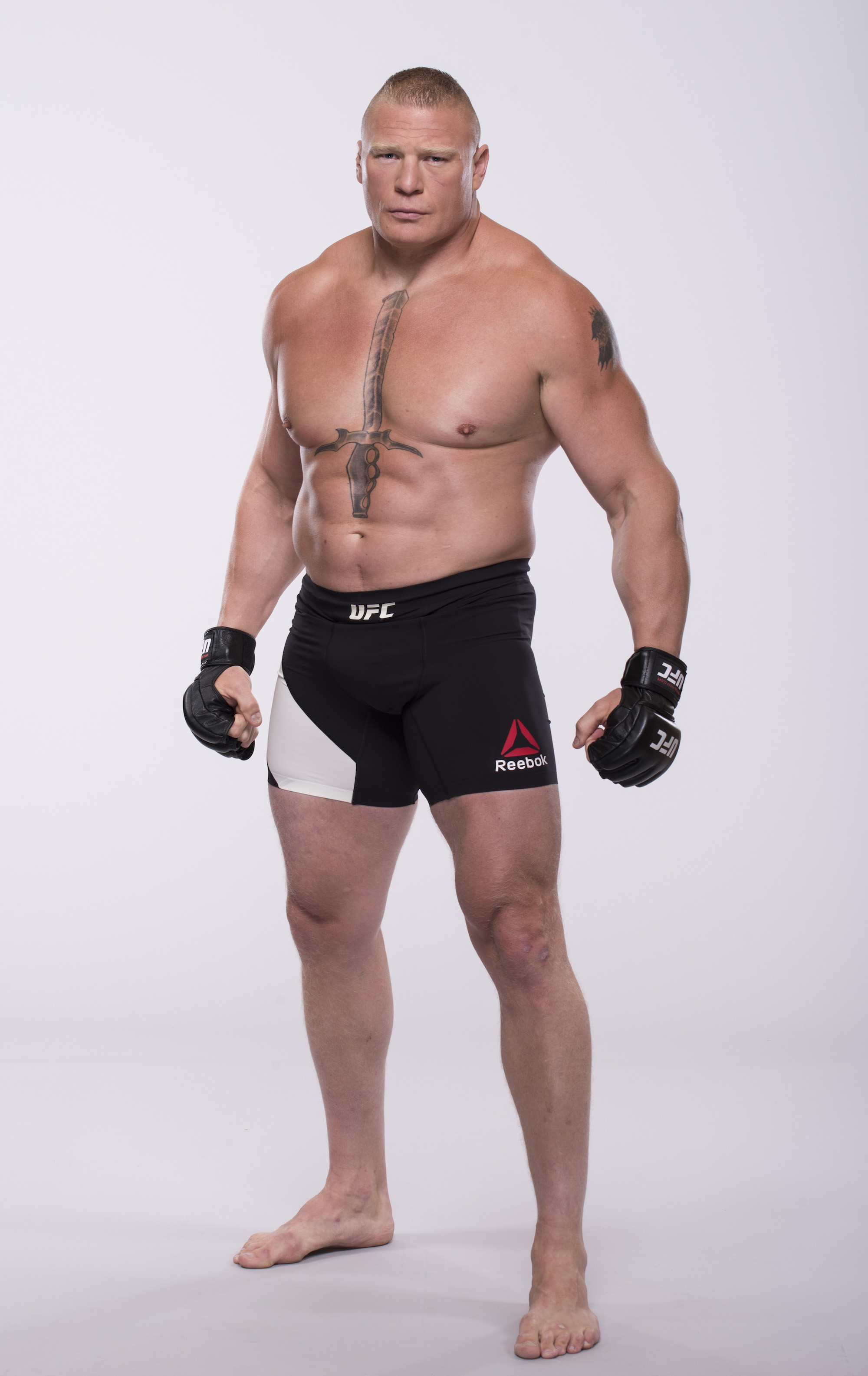 Brock Lesnar UFC 200 #20