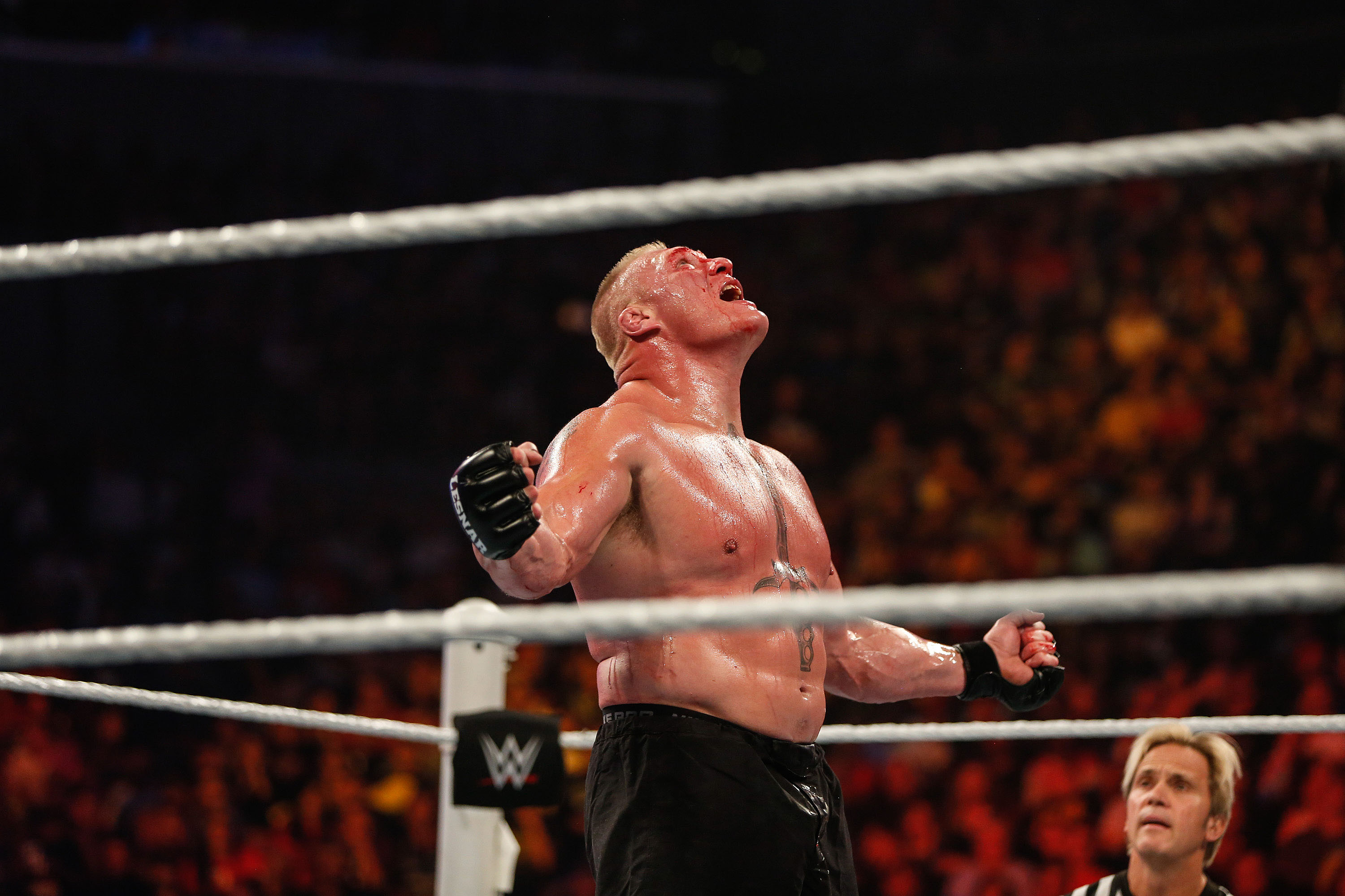 Brock Lesnar v Undertaker