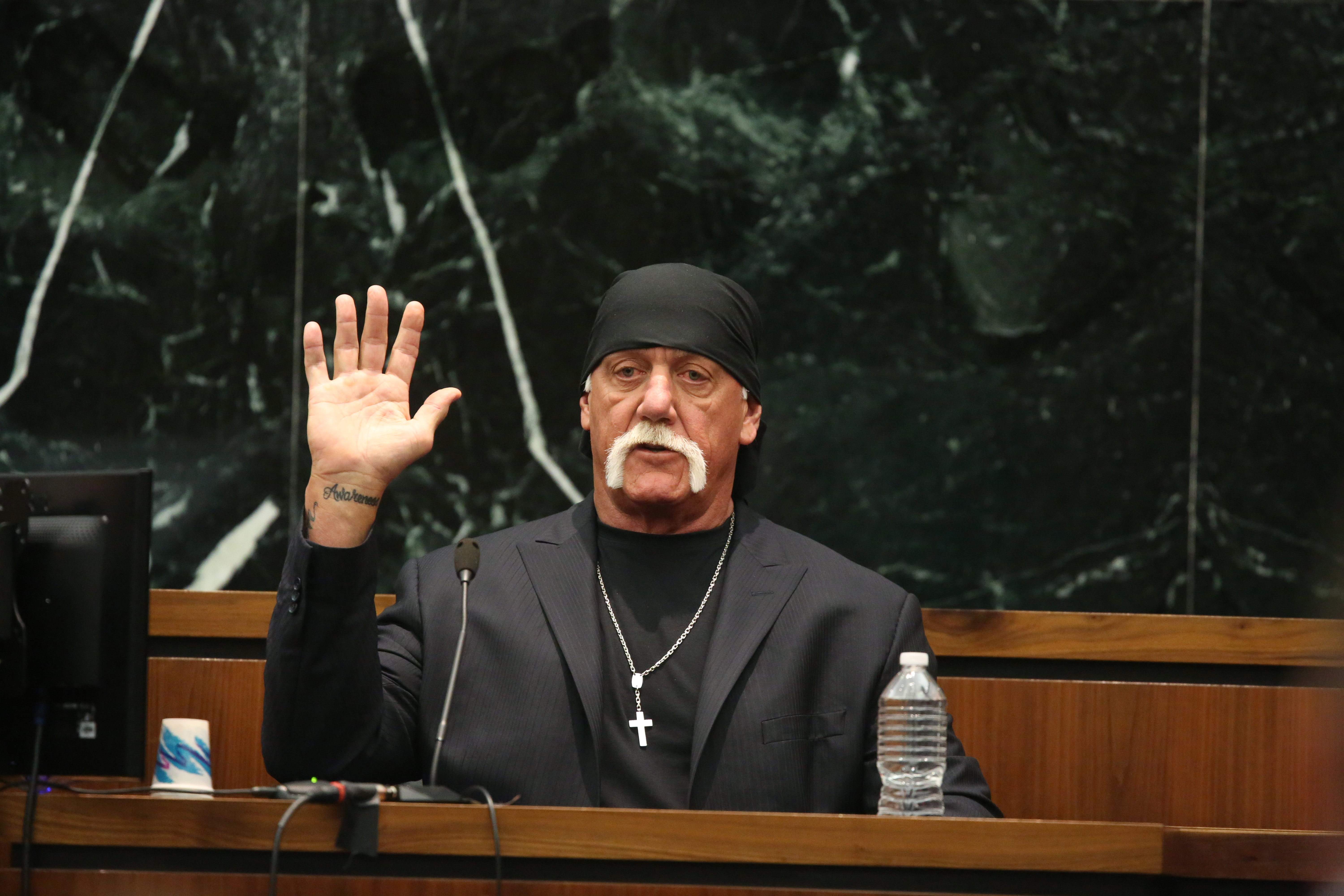 Hulk Hogan Gawker #2