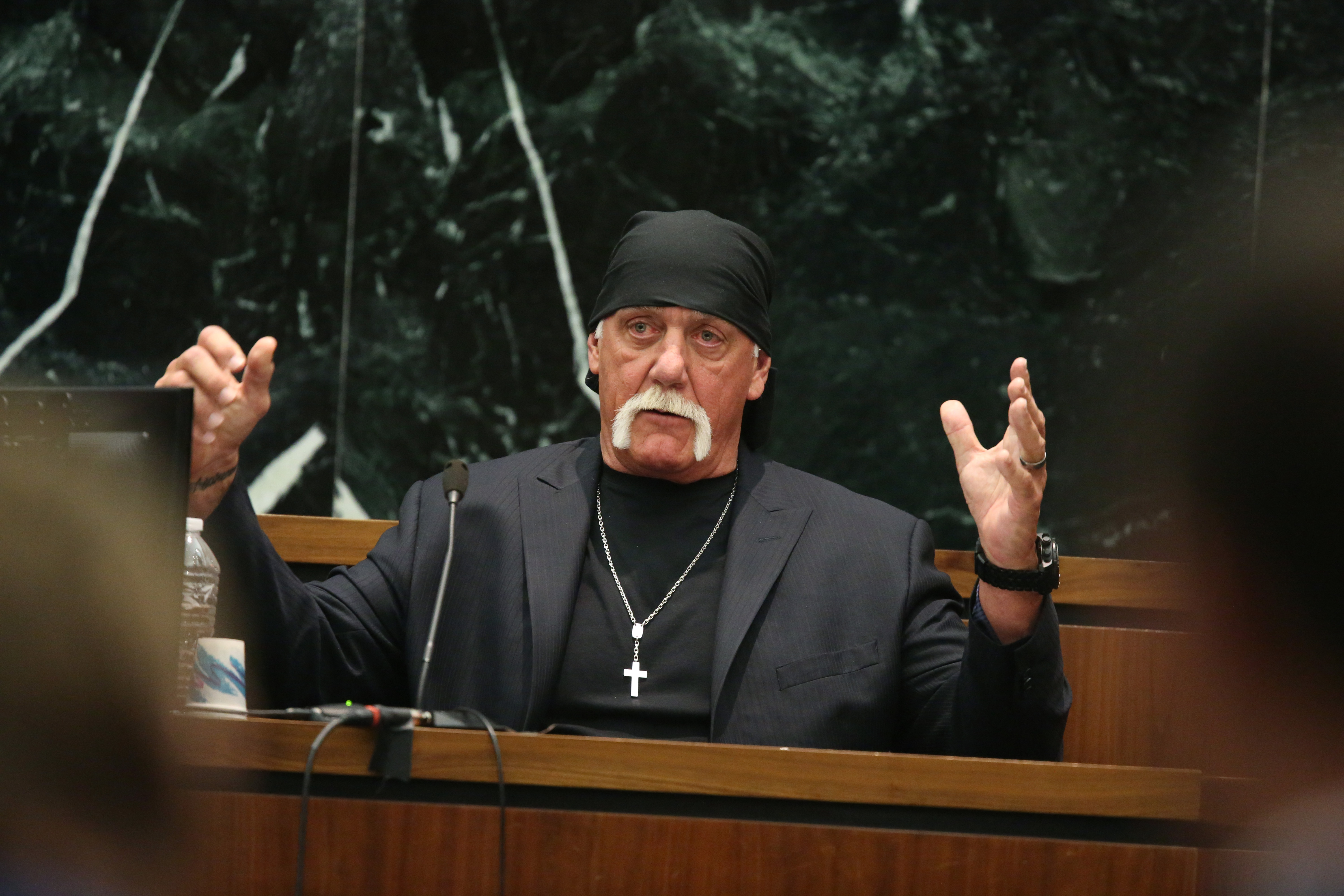 Hulk Hogan Gawker #4