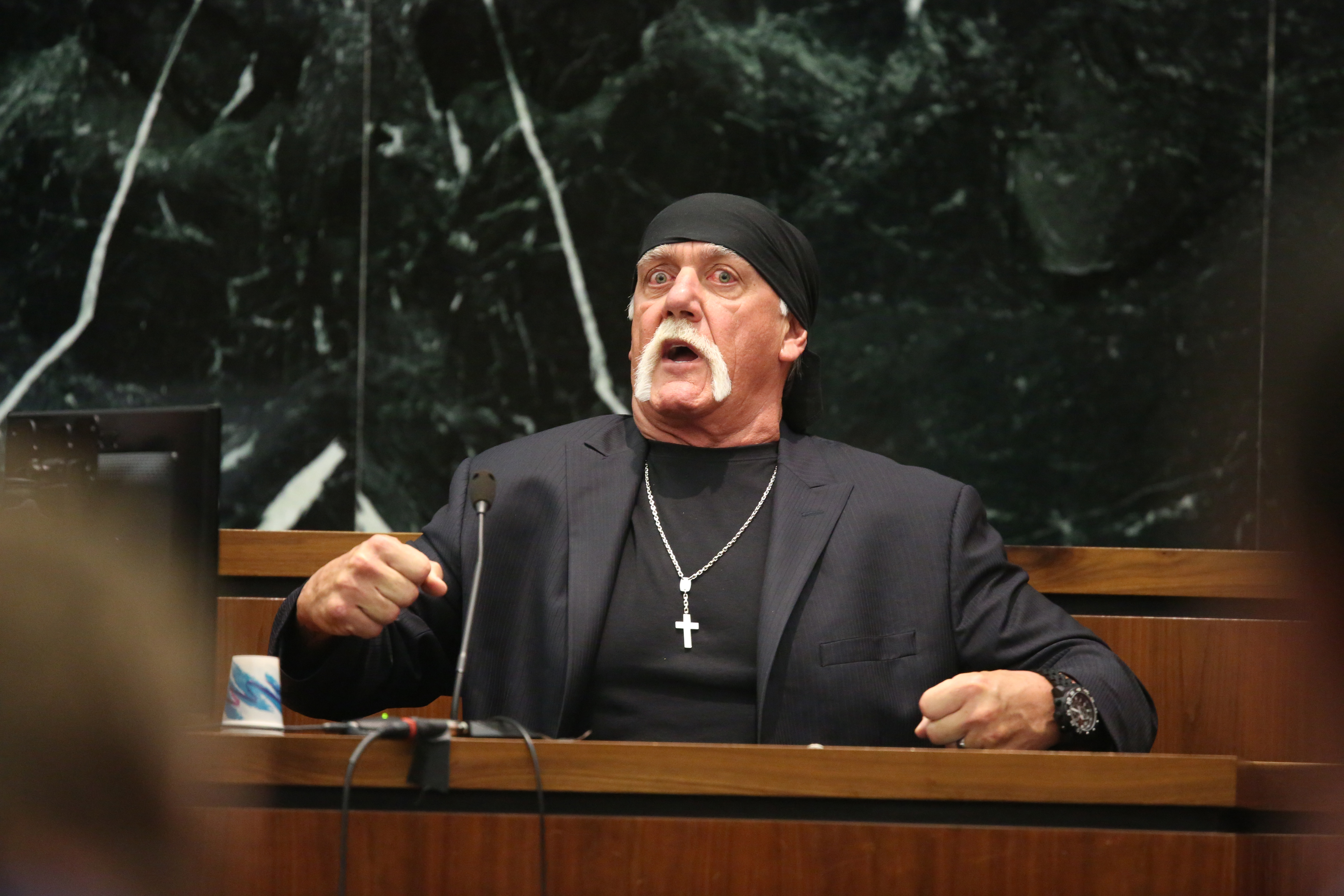 Hulk Hogan Gawker #5