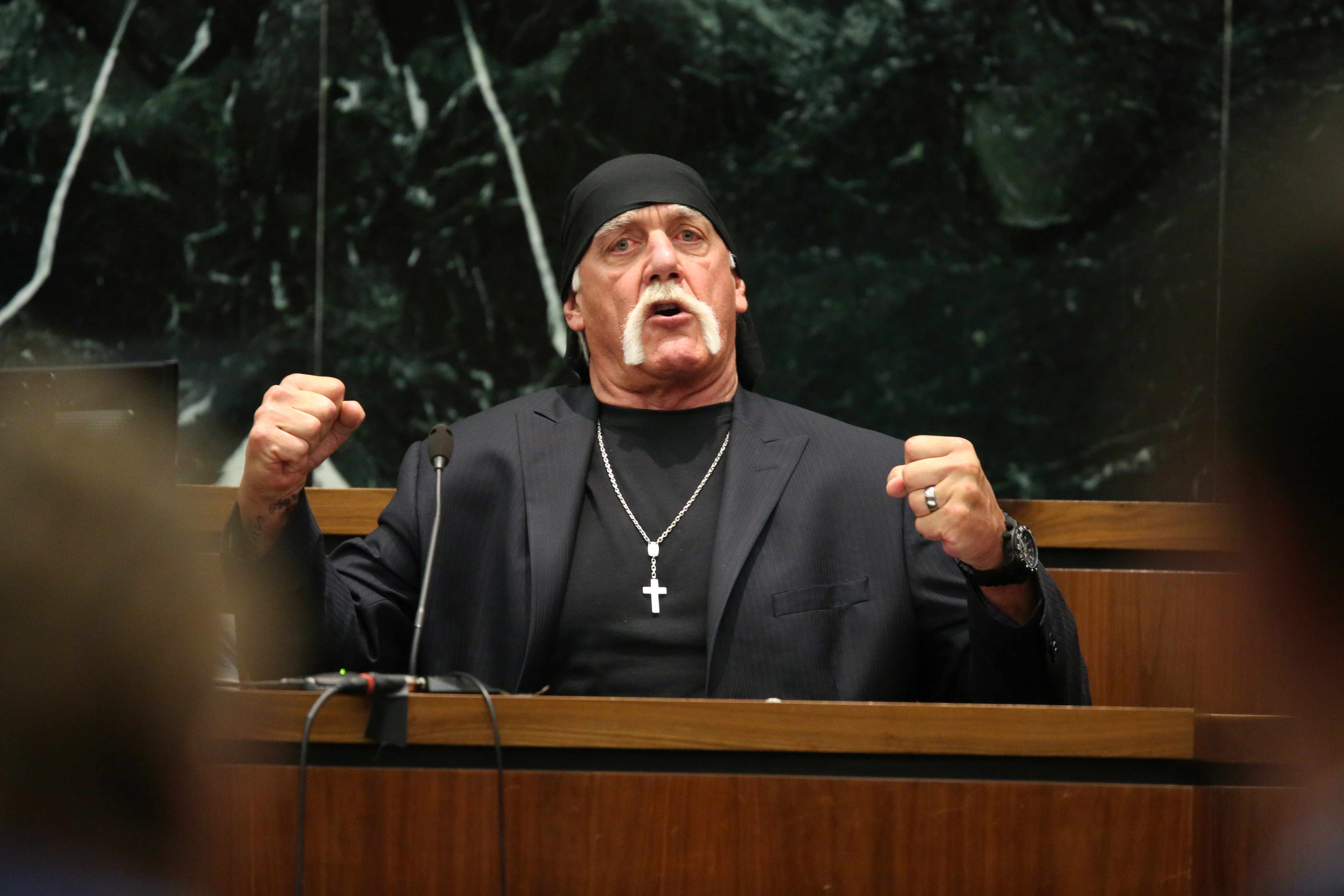 Hulk Hogan Gawker #6