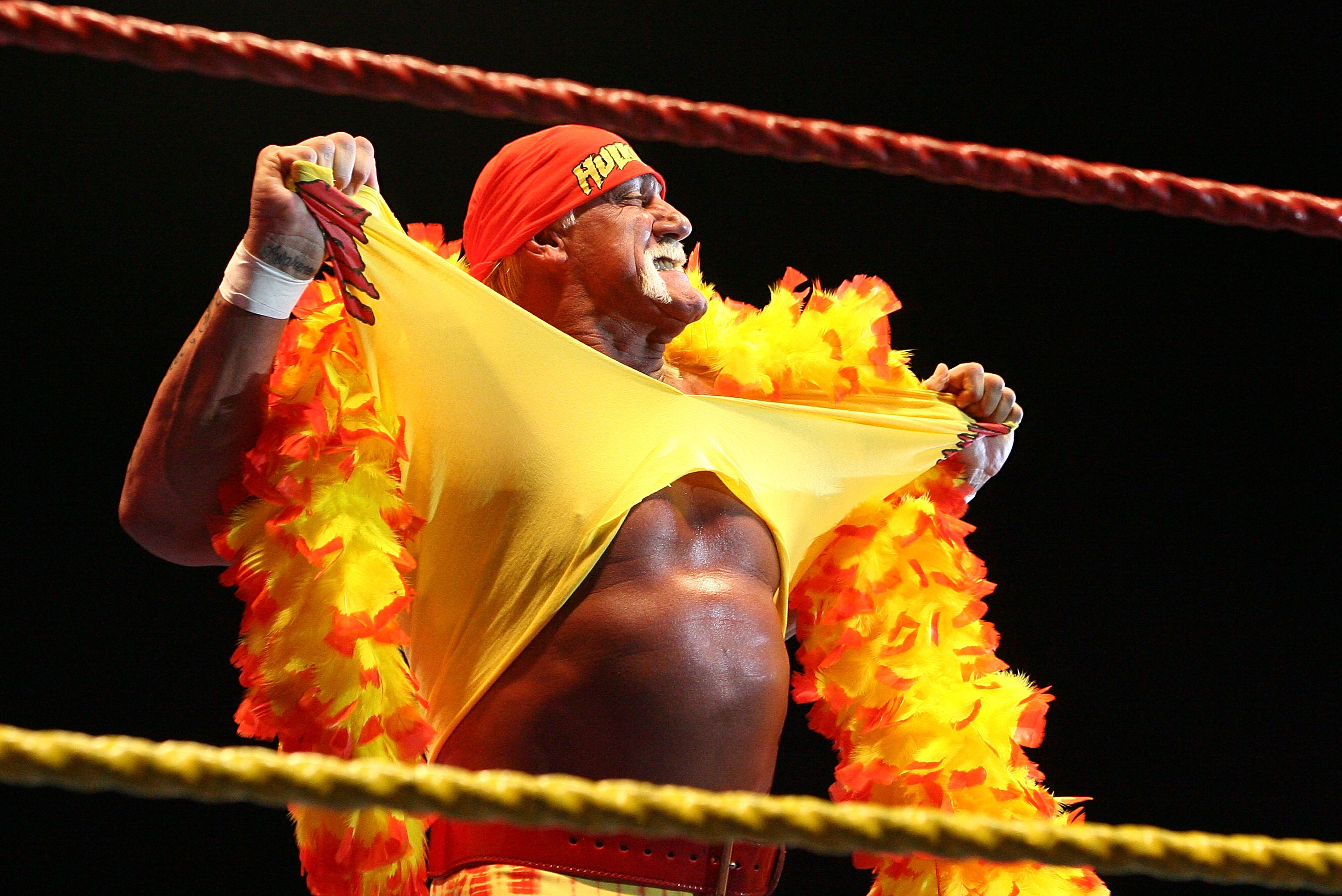 Hulk Hogan vs Ric Flair