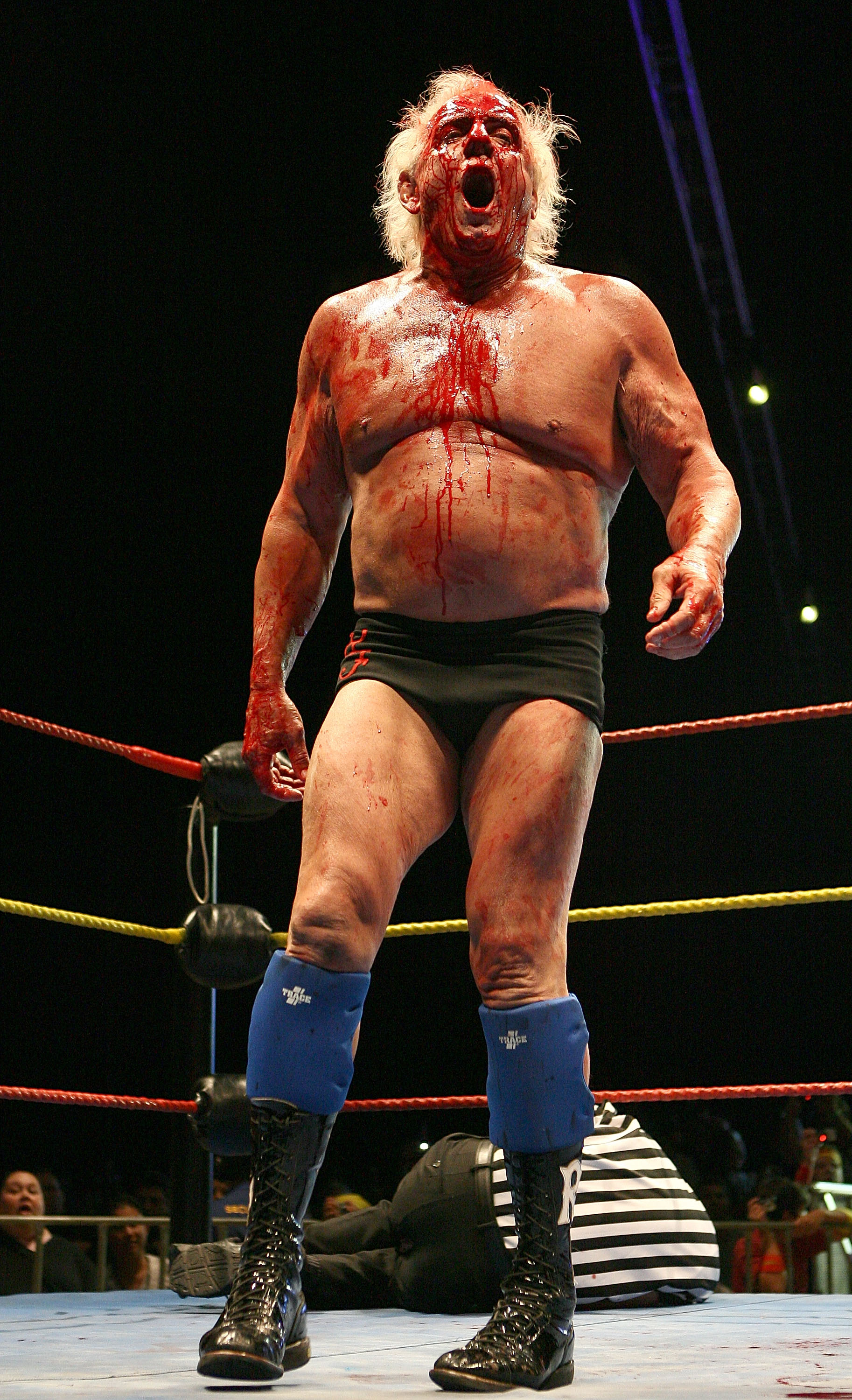 Hulk Hogan vs Ric Flair