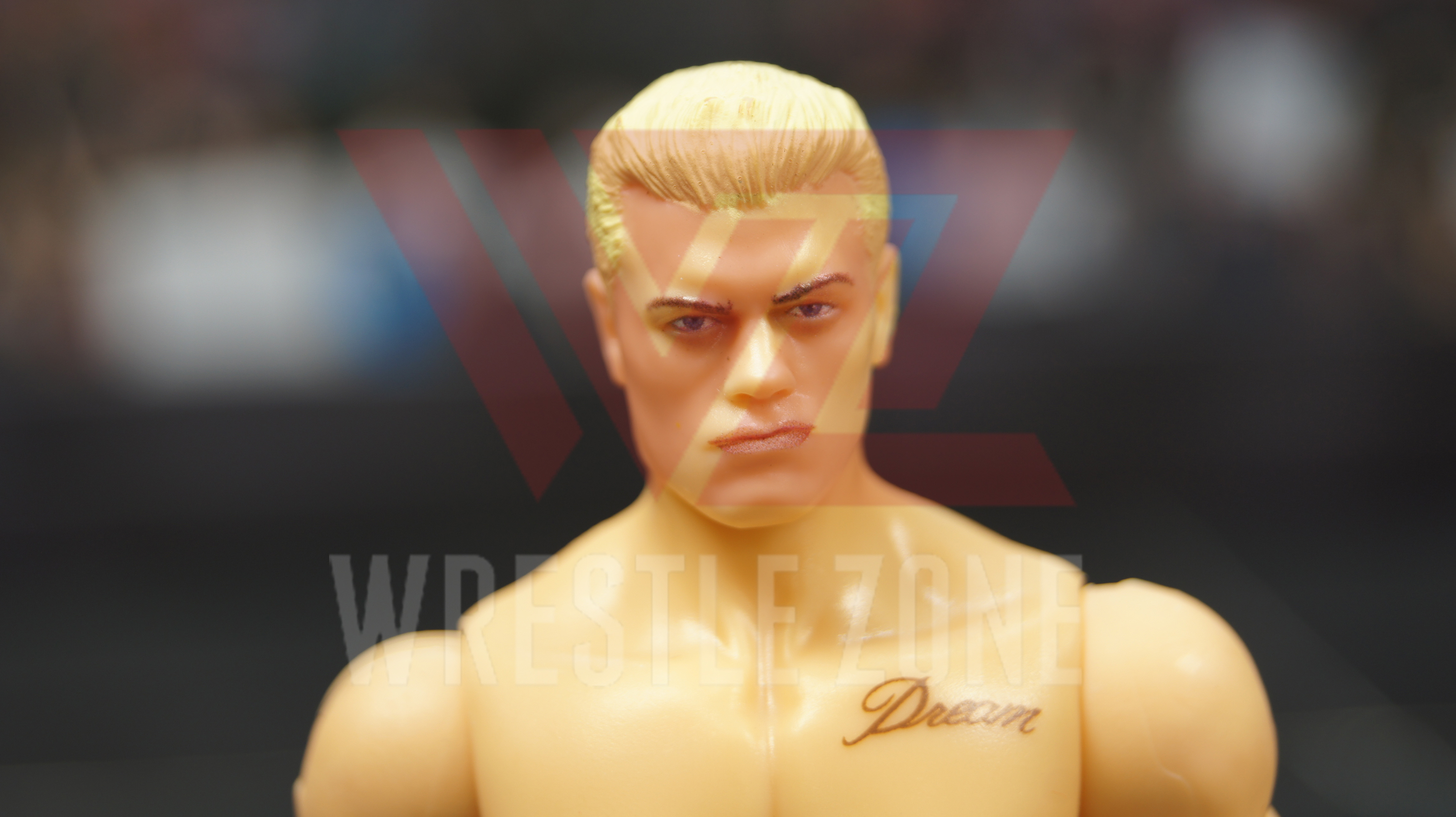 SONY DSC