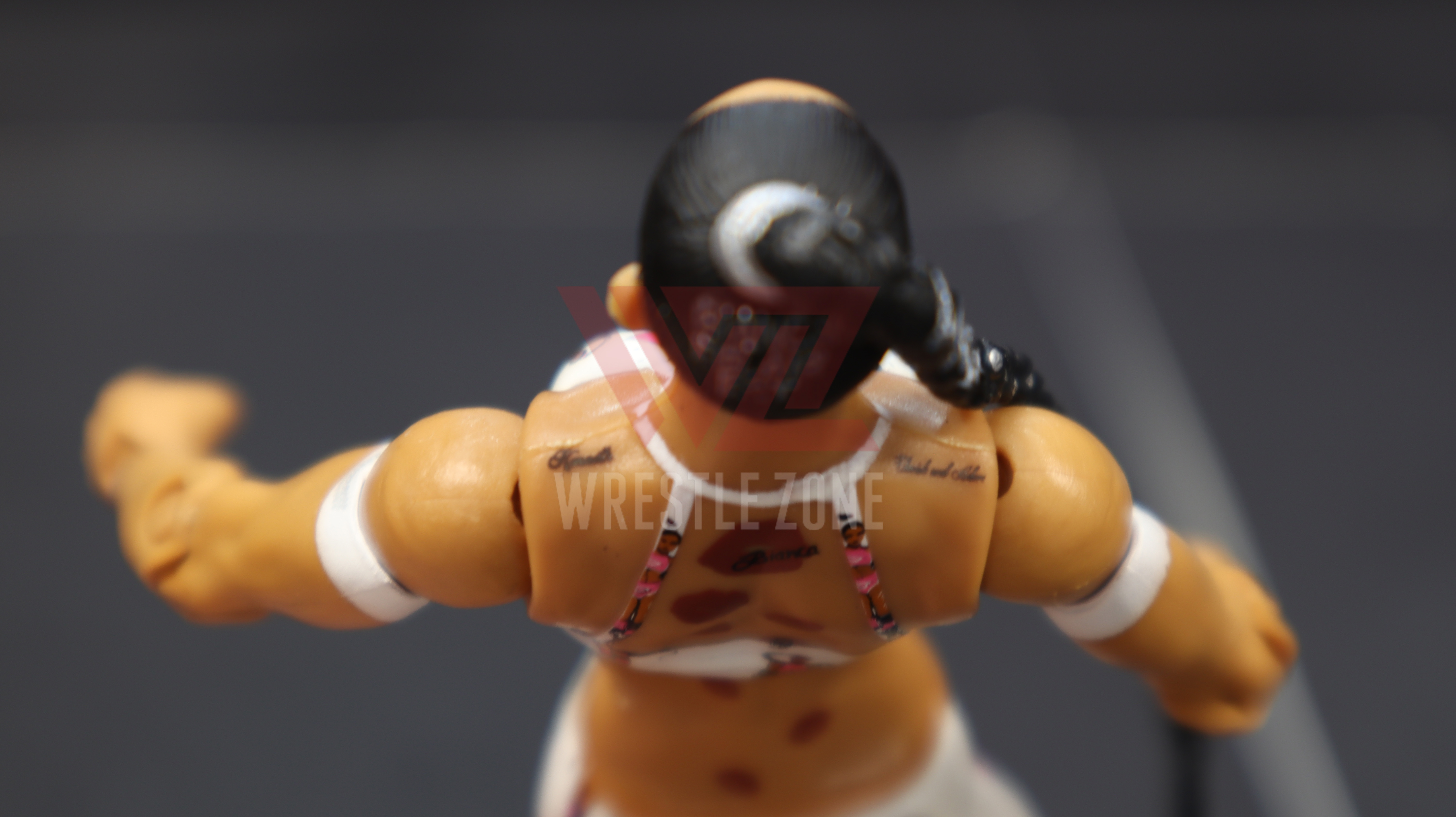 Wz_wwe_elite81_bianca_20201119_1483
