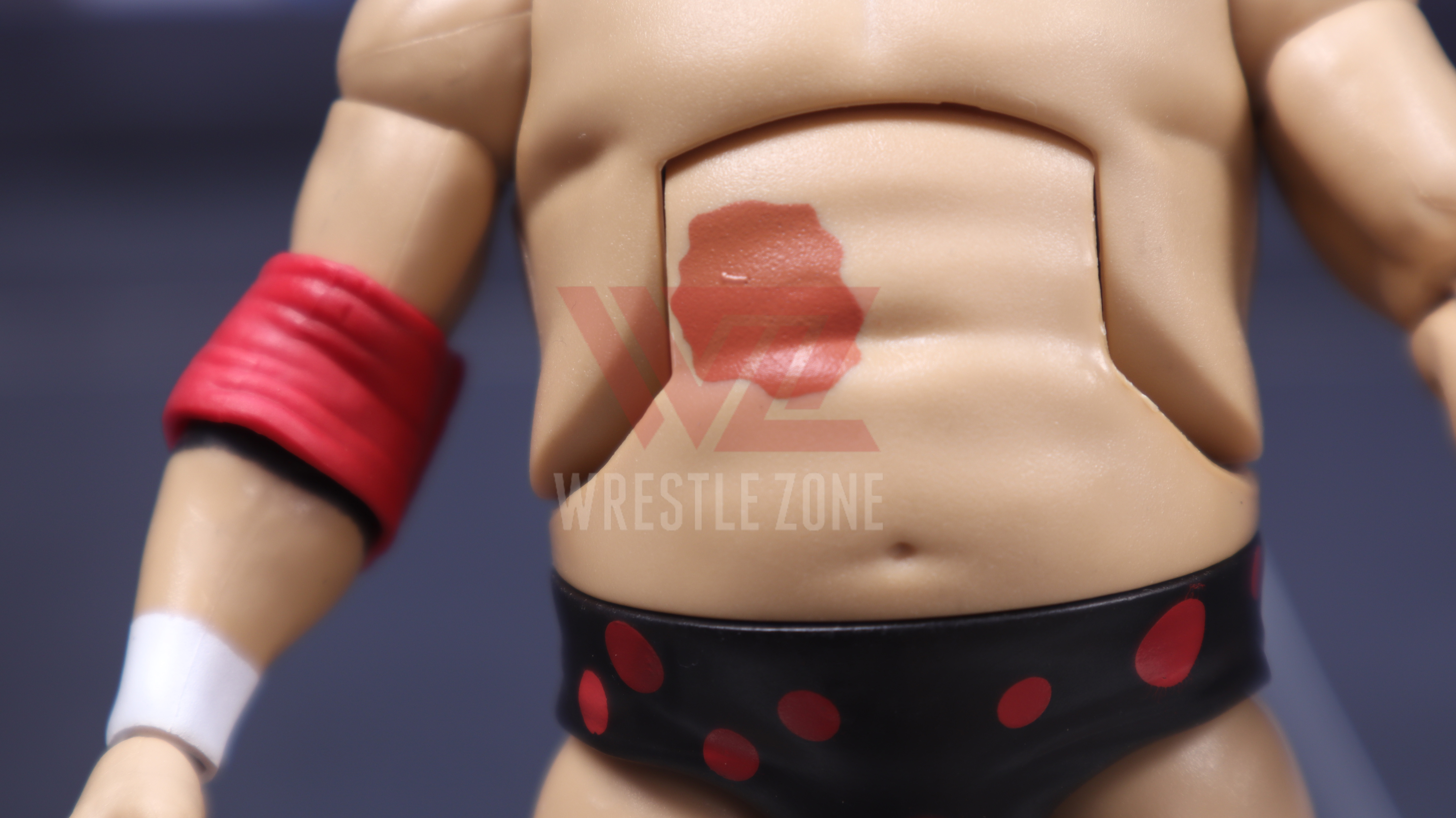 Wz_wwe_elite83_dusty_20210106_2287