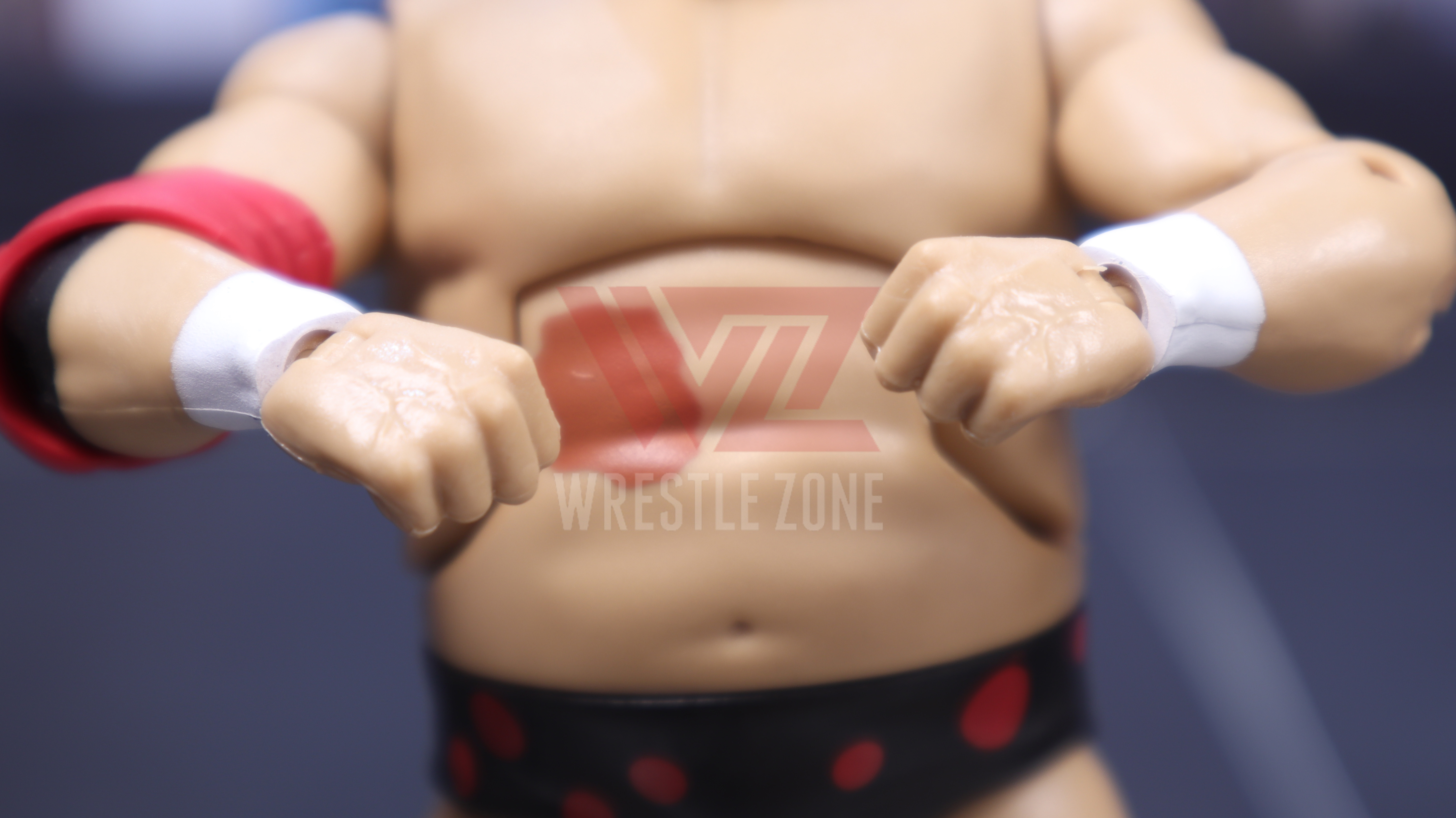 Wz_wwe_elite83_dusty_20210106_2288