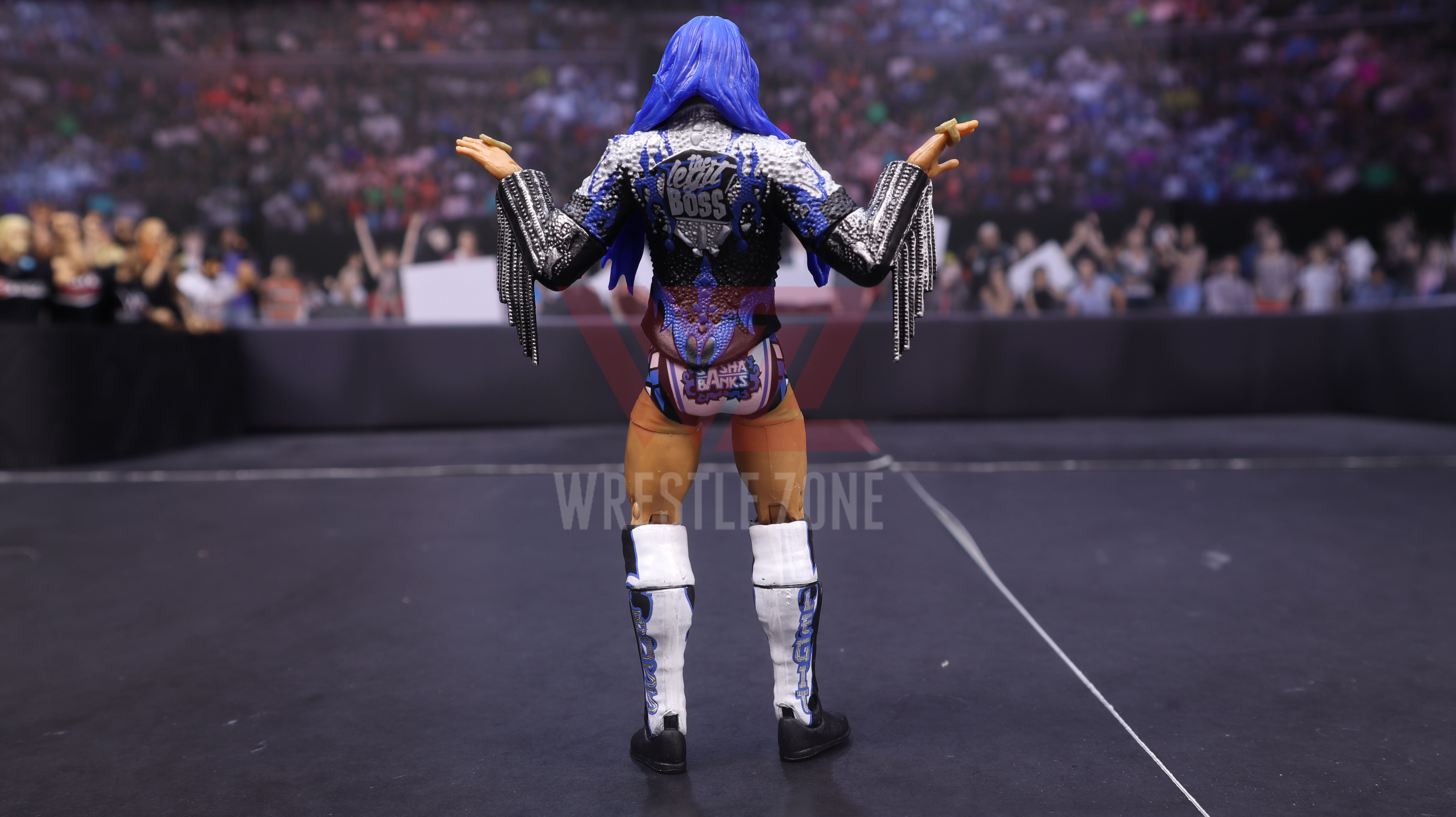 Wz_wwe_elite83_sasha_20210106_2402