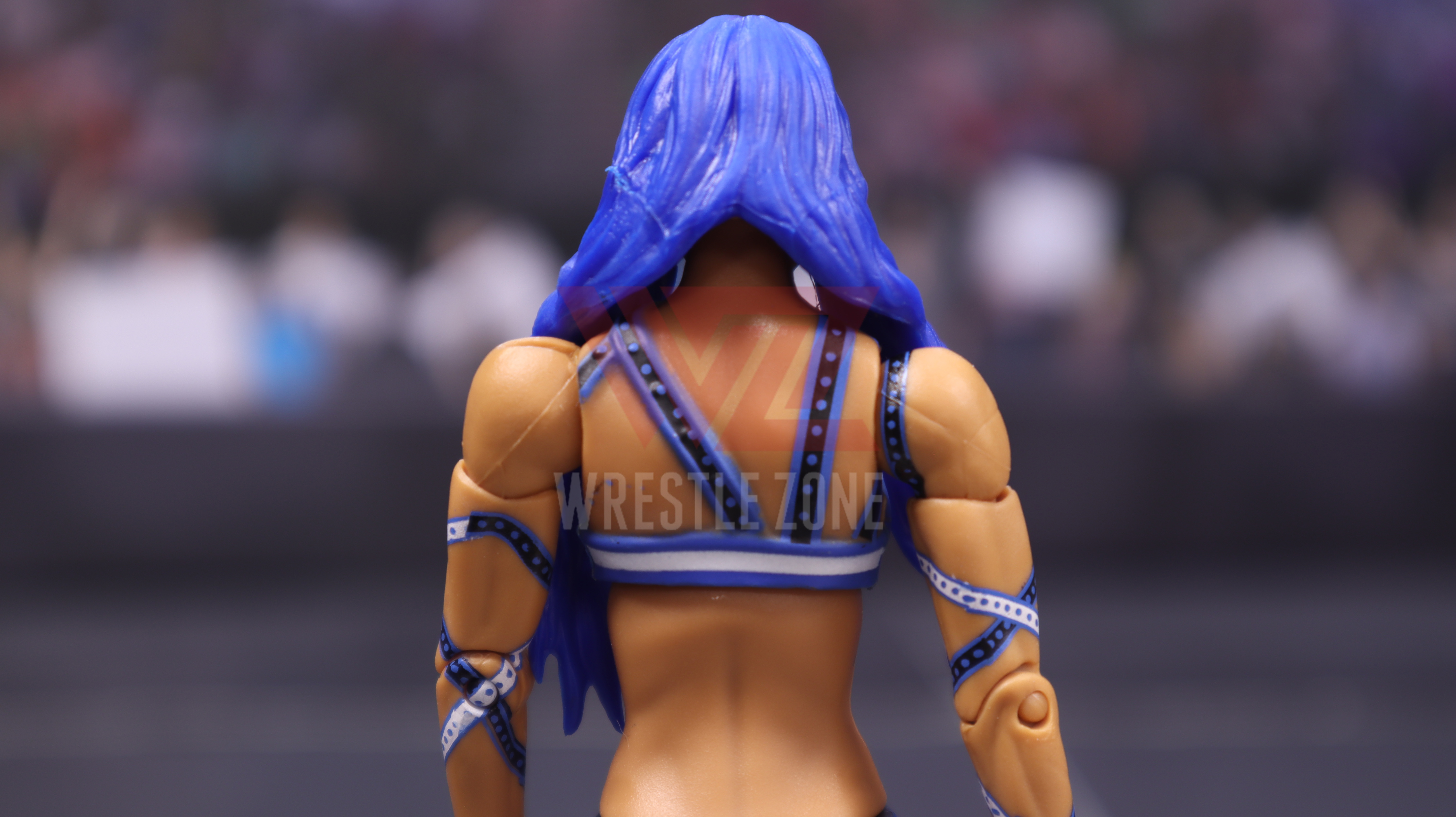 Wz_wwe_elite83_sasha_20210106_2412