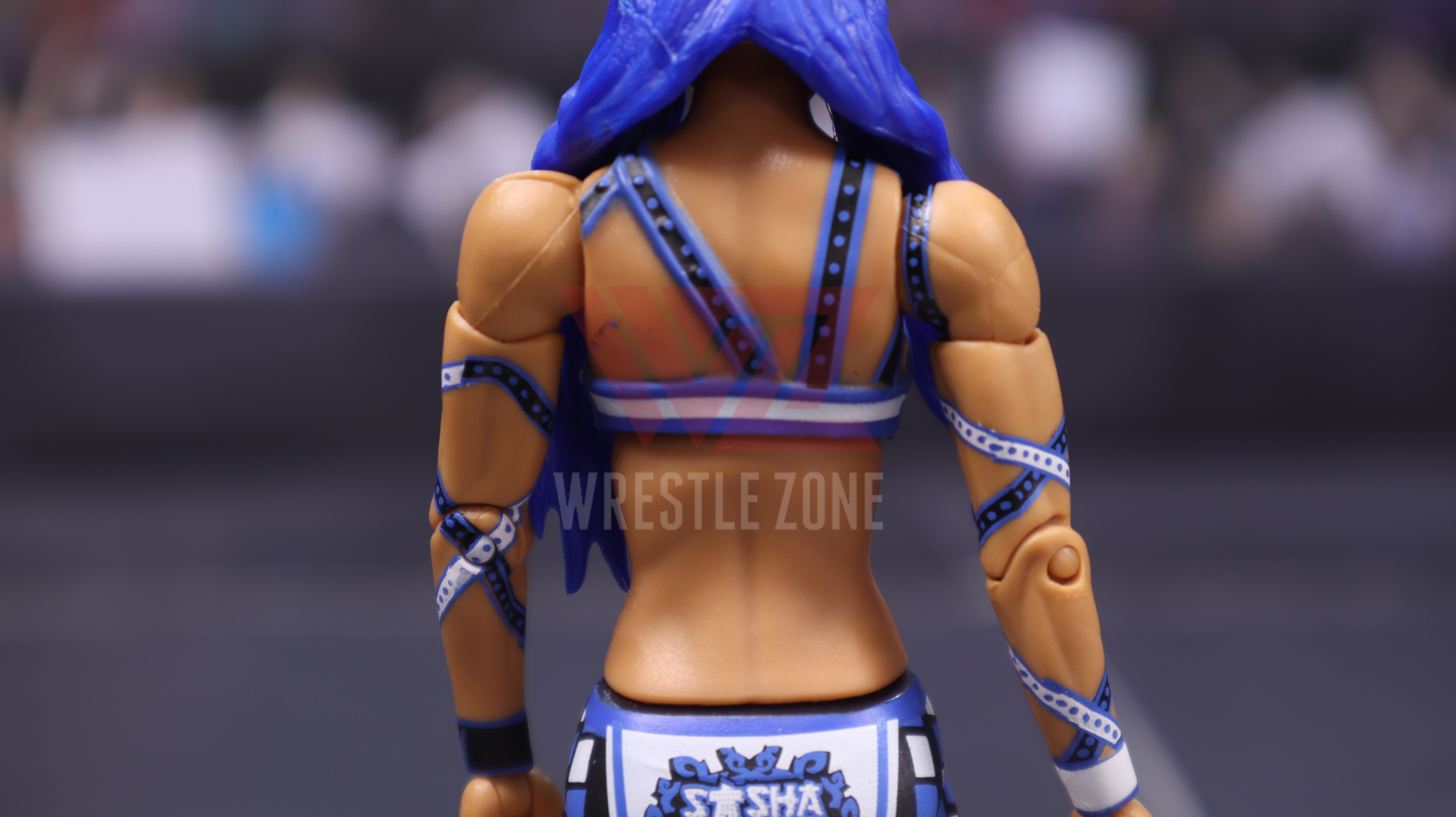 Wz_wwe_elite83_sasha_20210106_2413