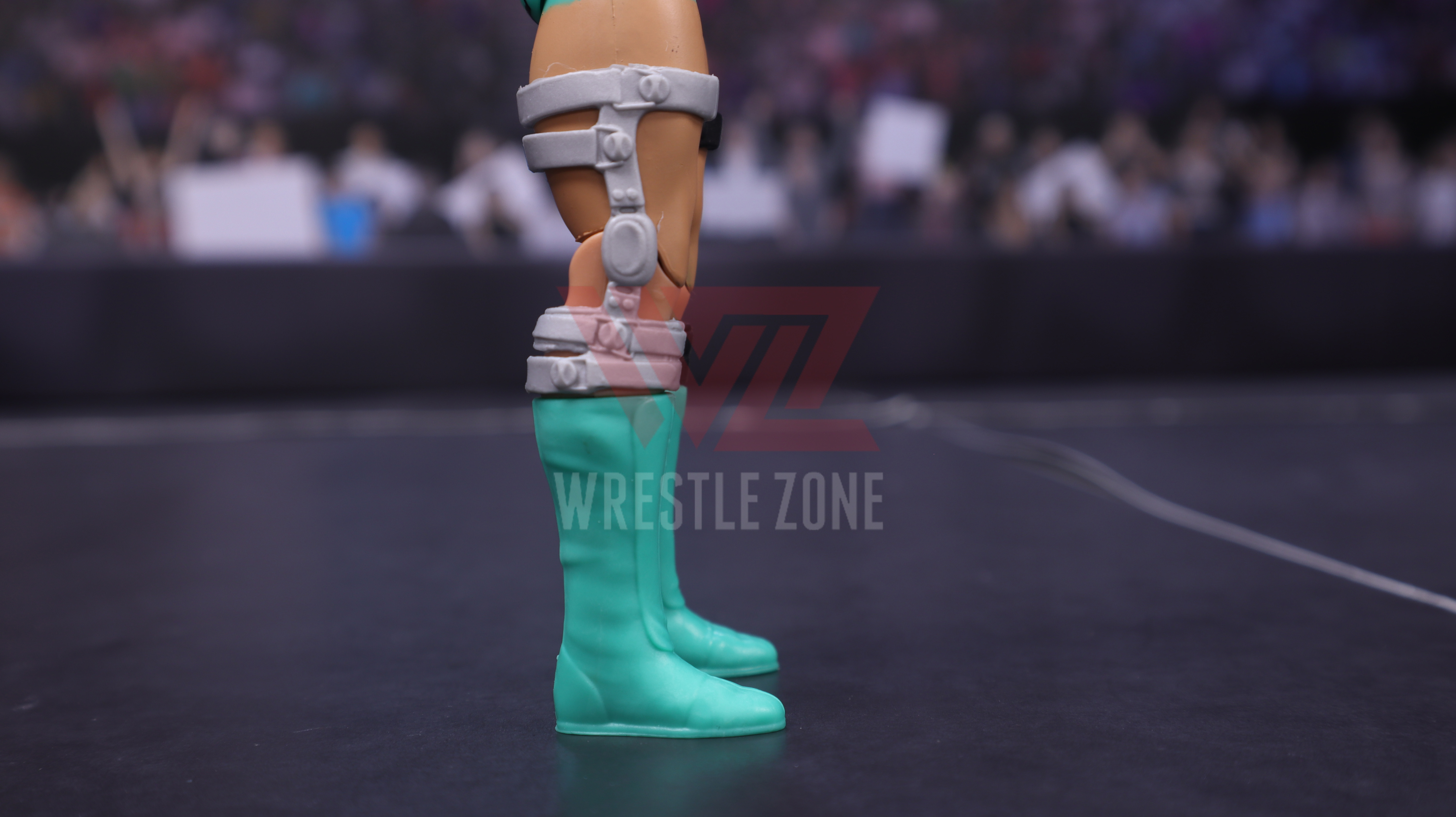 Wz_wwe_series115_tegan_20201229_2126