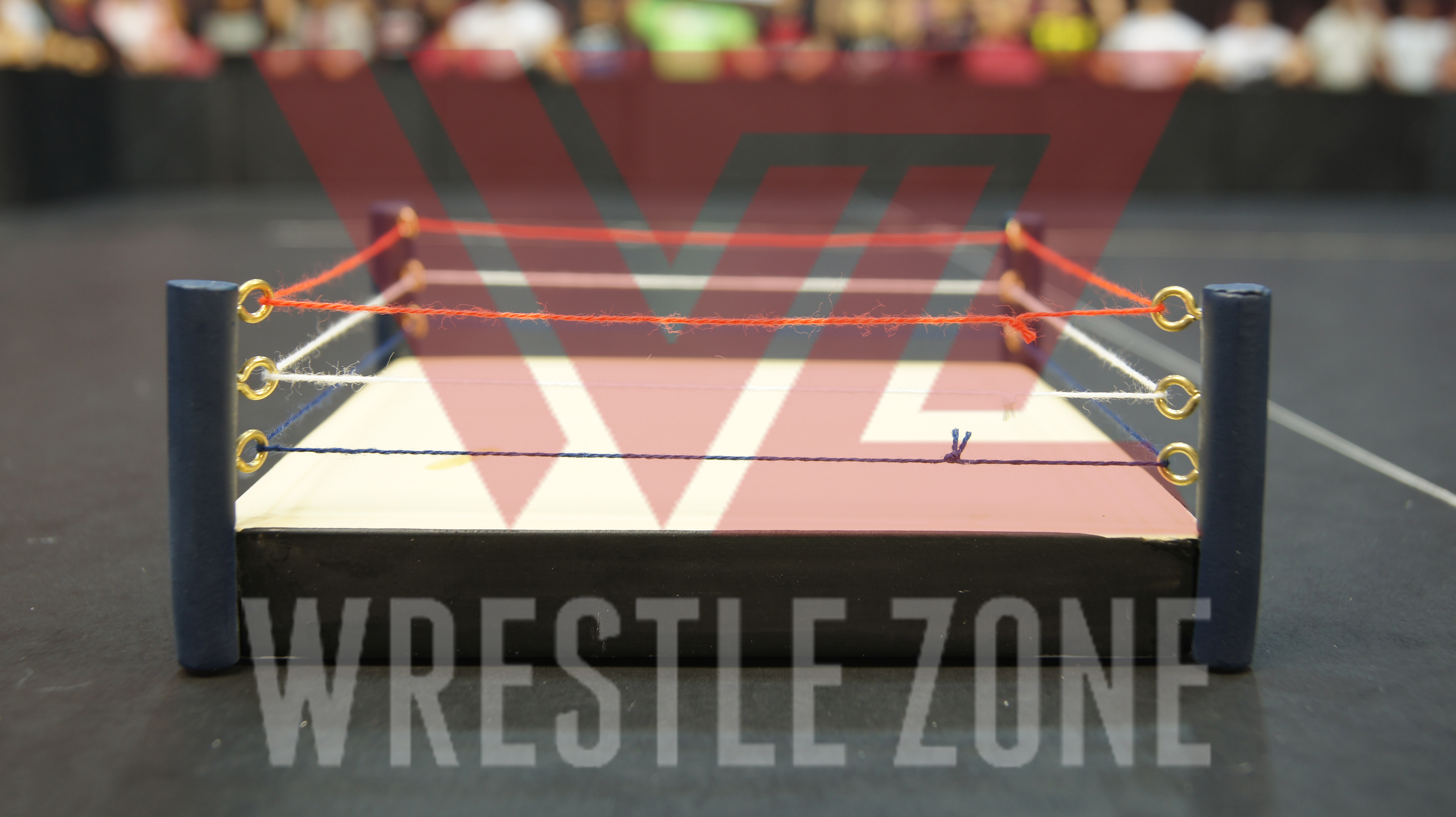 Wz_wwe_nbhfm_bret_austin_f