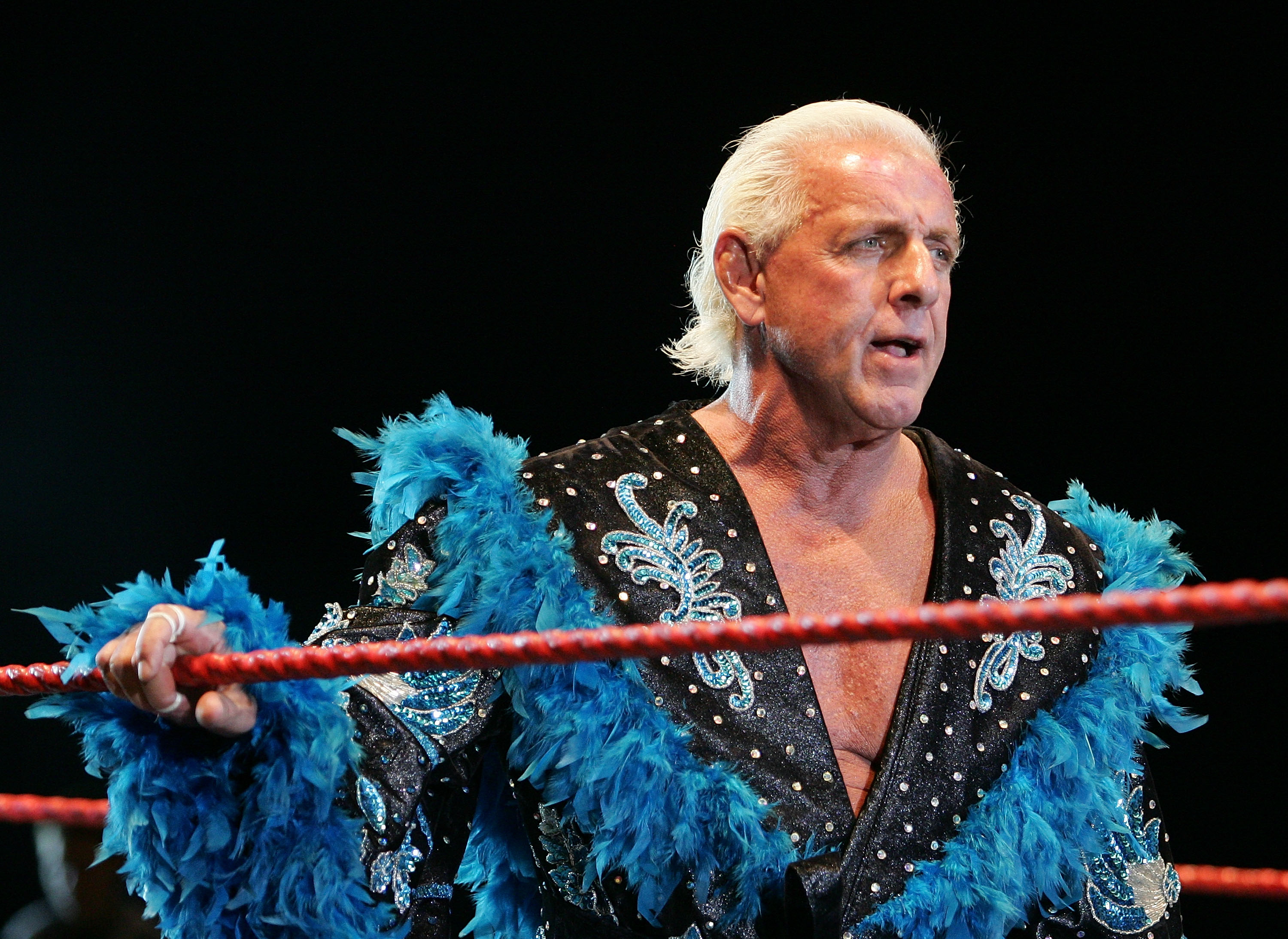 Ric Flair vs Hulk Hogan