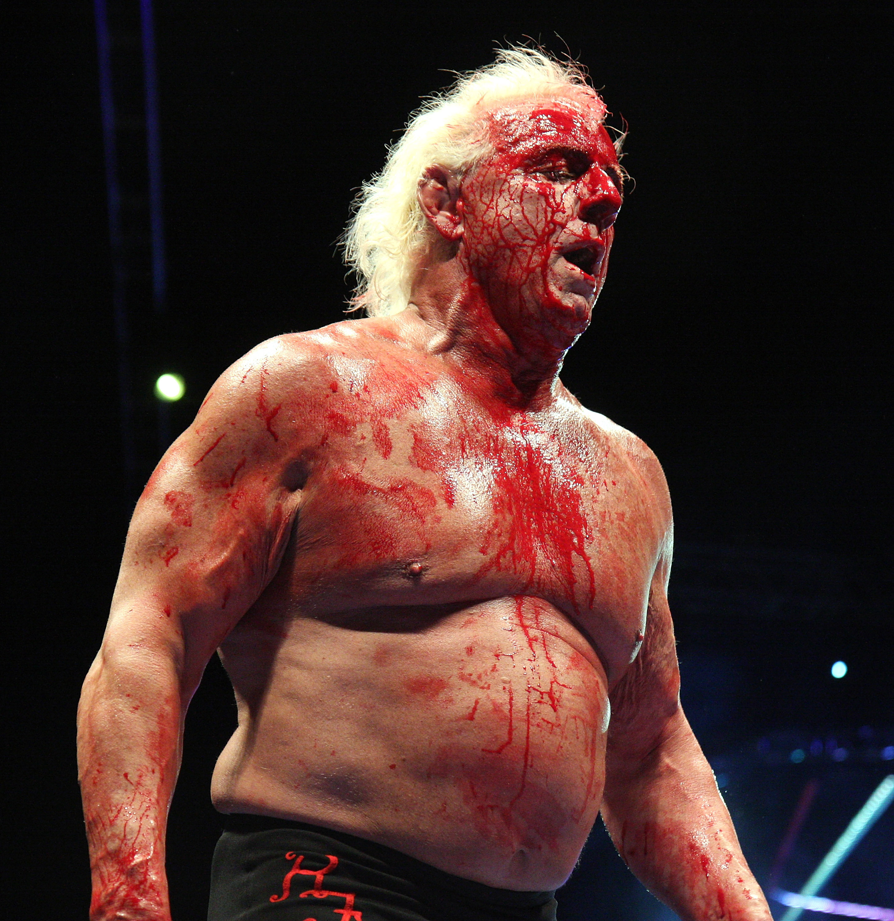 Ric Flair vs Hulk Hogan