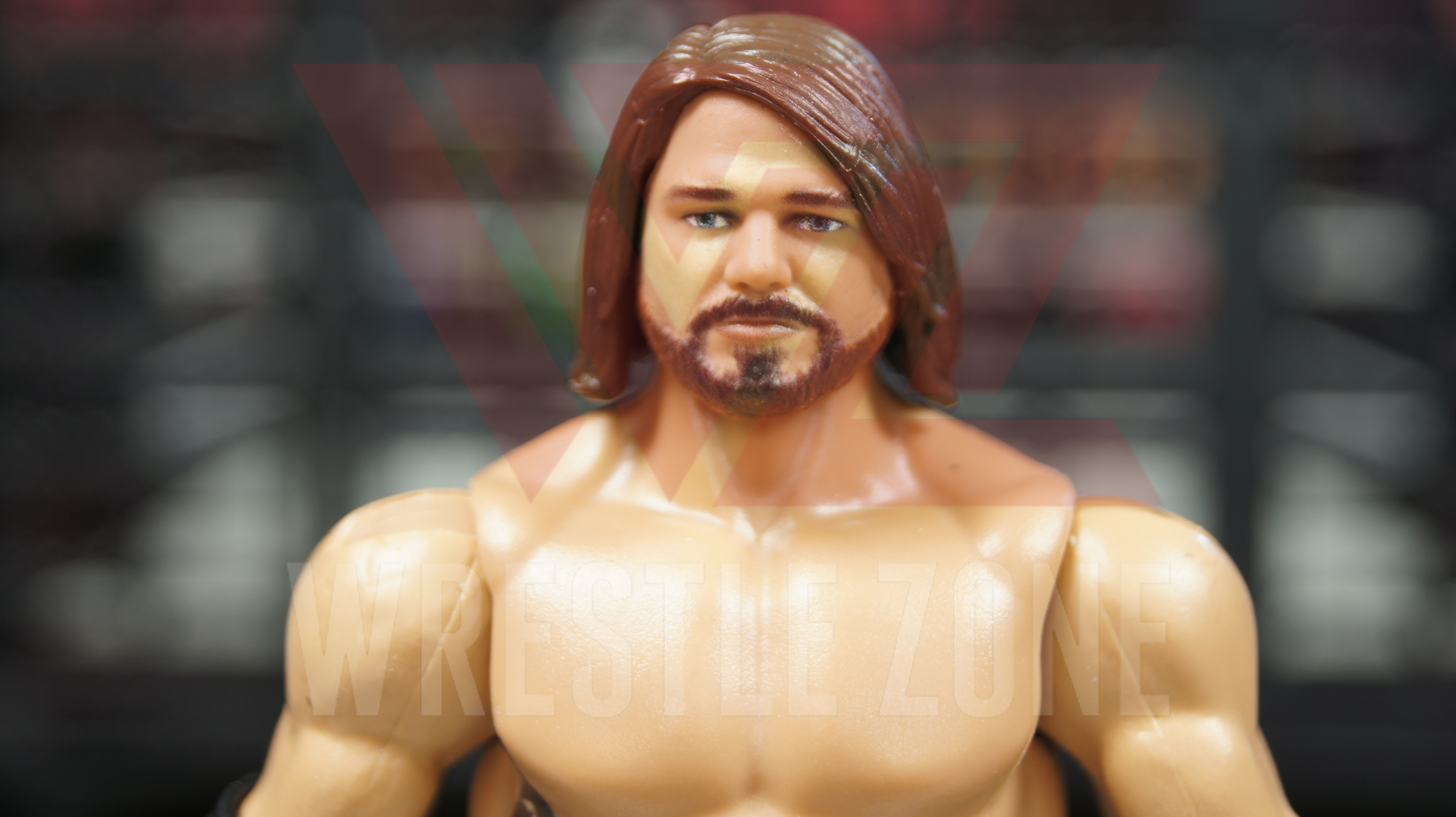 Rsc_wwe_elimniation_chamber_e