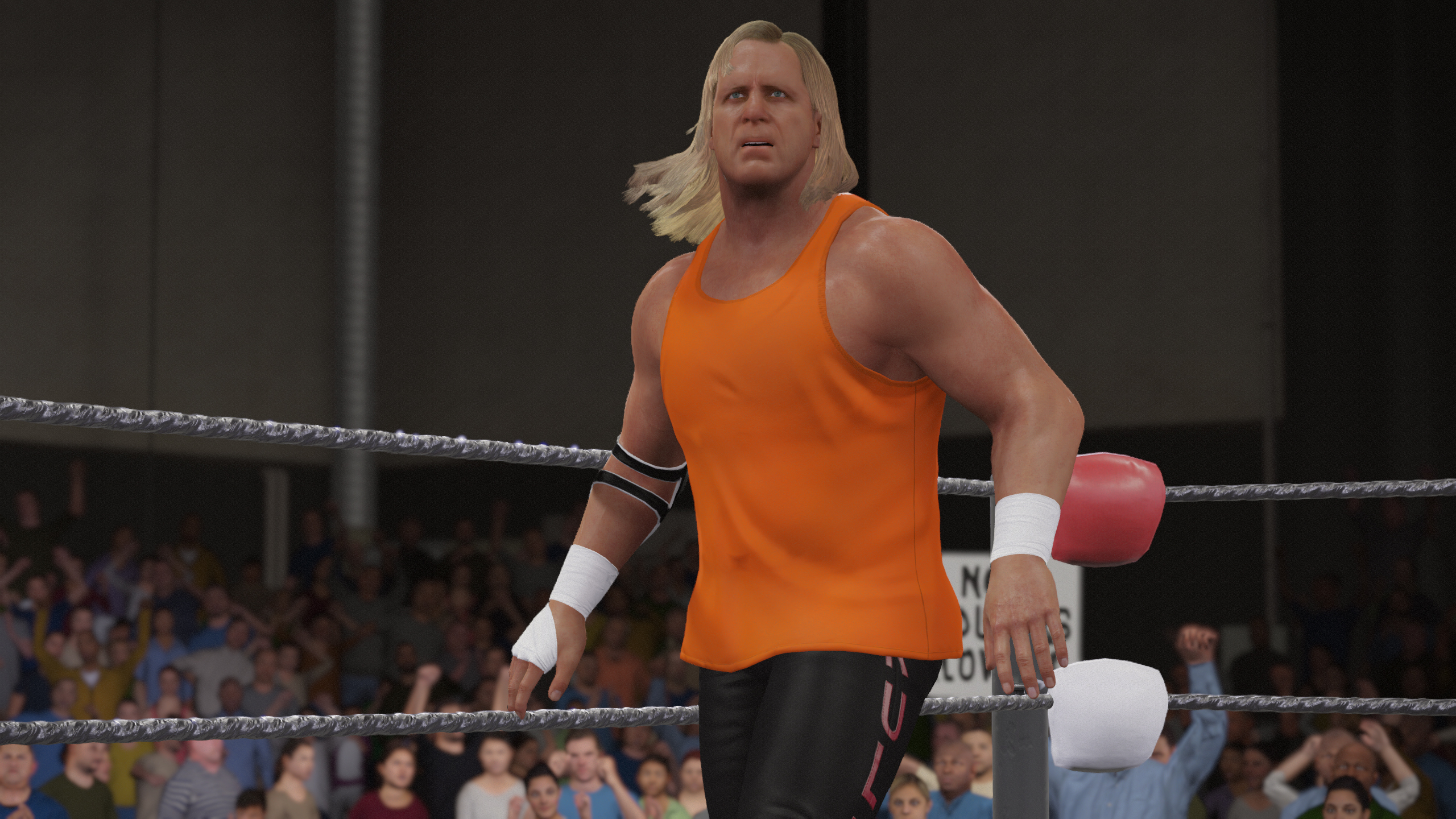 Steve Austin
