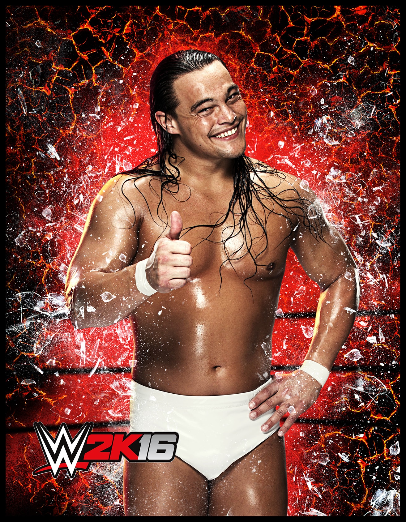 WWE 2k16 Roster Cards #2