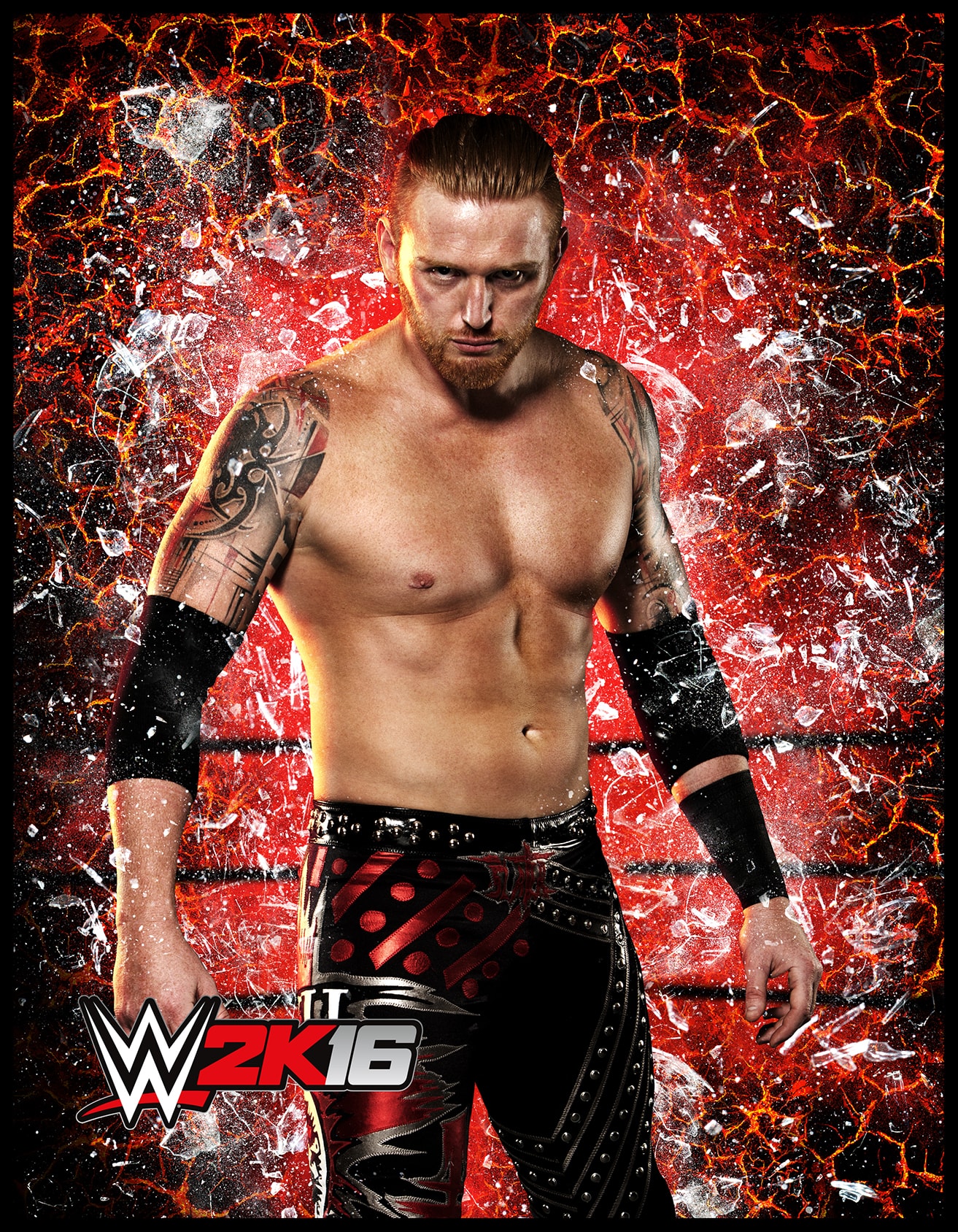WWE 2k16 Roster Cards #6