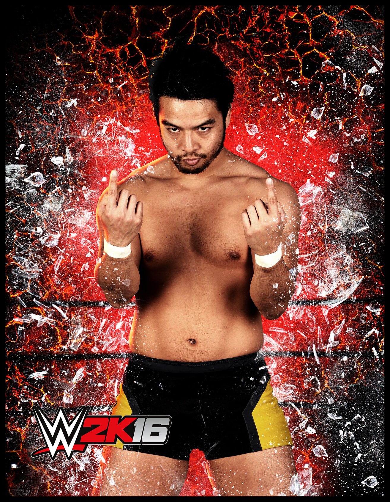 WWE 2k16 Roster Cards #7