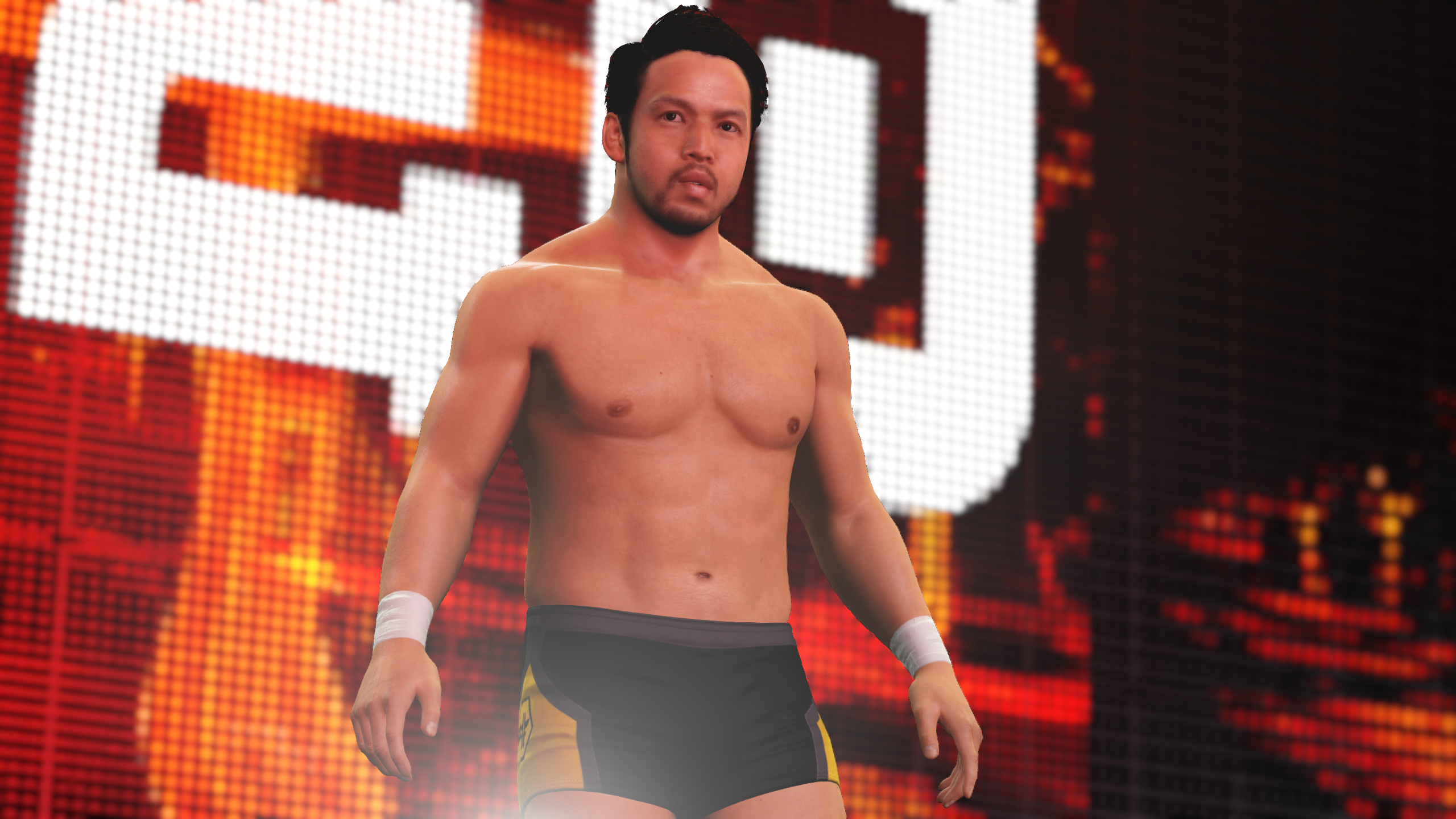WWE 2k16 Roster Cards #8
