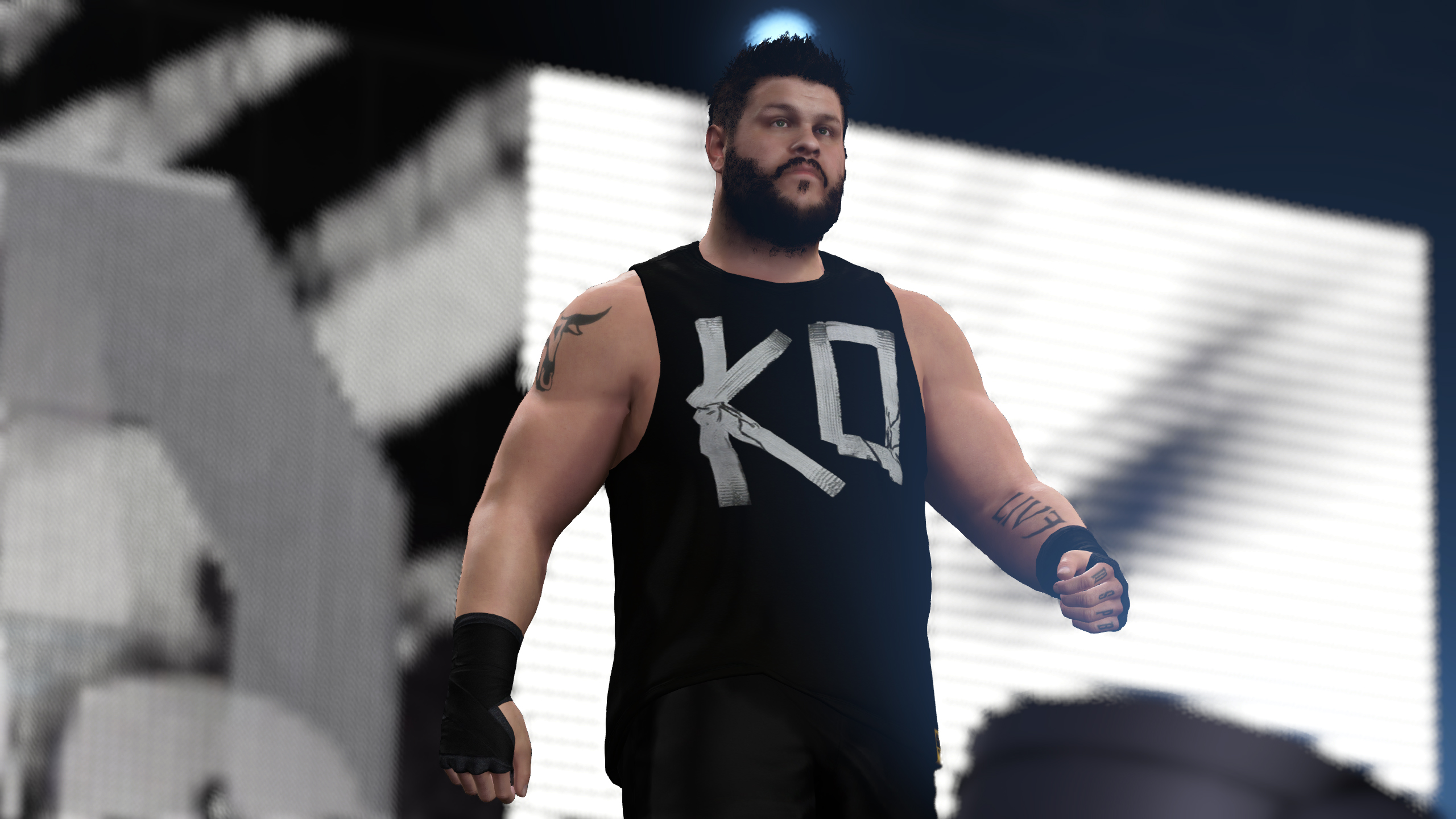 WWE 2k16 Roster Cards #11