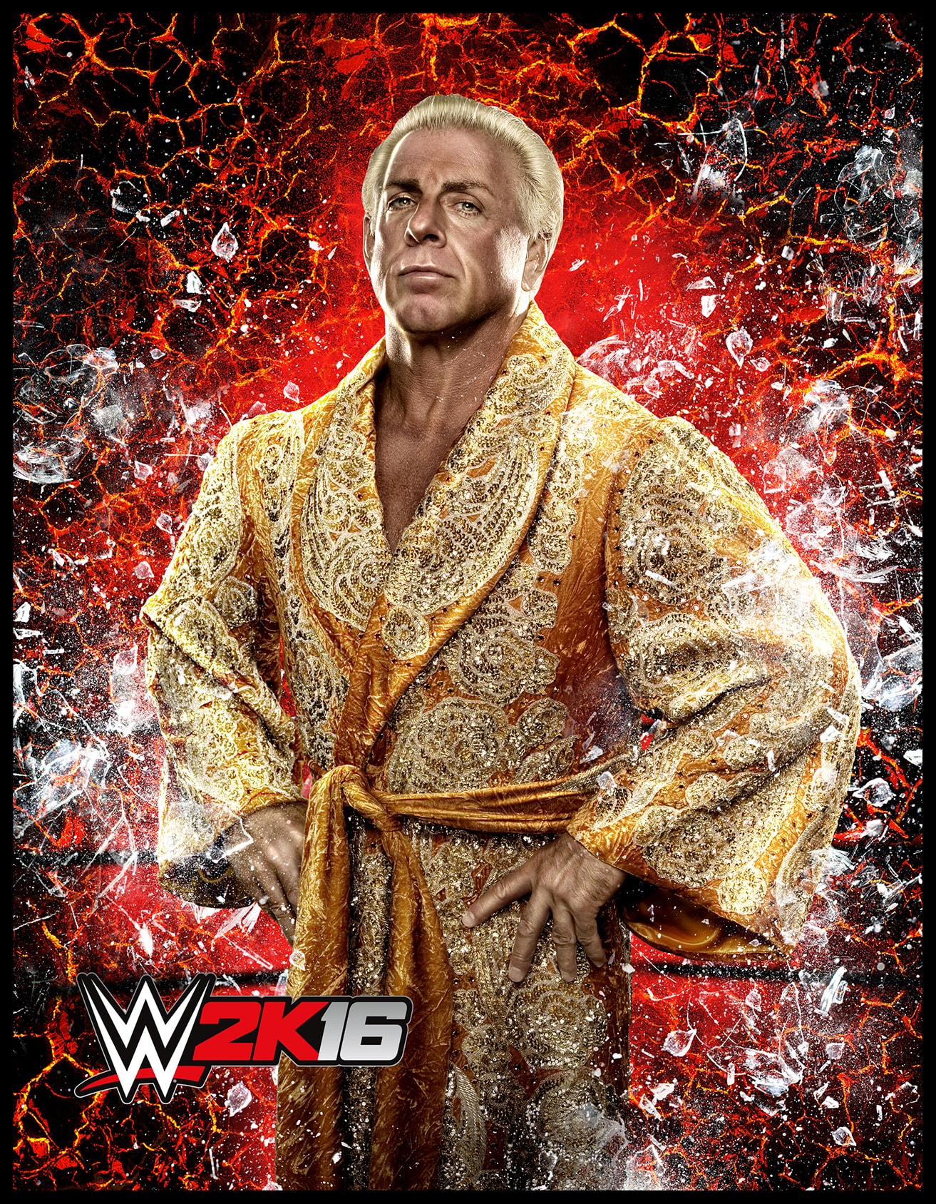 WWE 2k16 Roster Cards #15