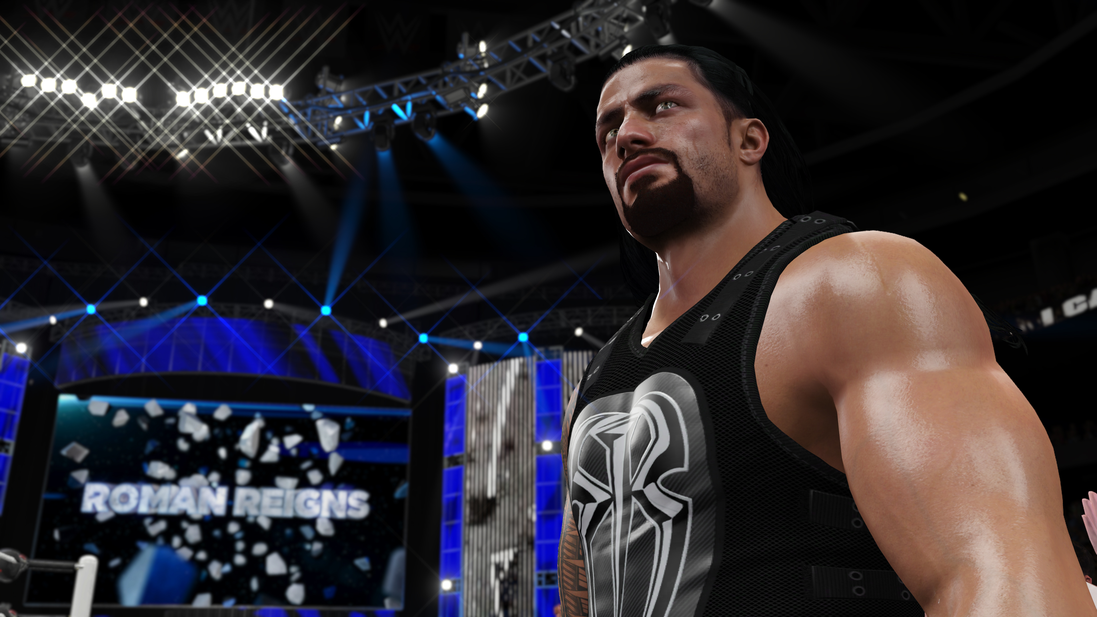 WWE 2k16 Roster Cards #17