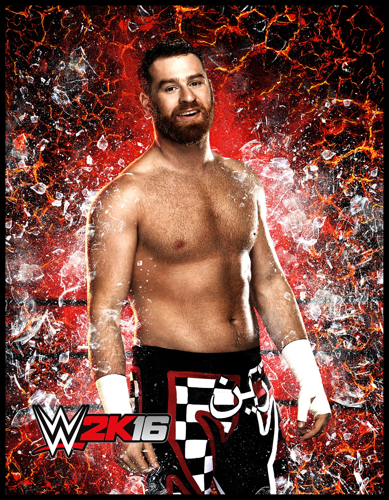 WWE 2k16 Roster Cards #18