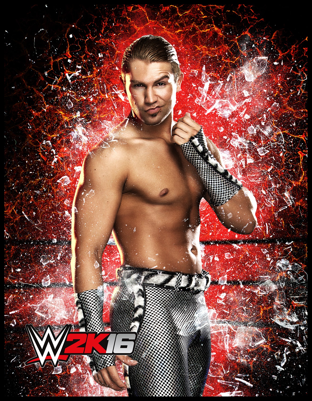 WWE 2k16 Roster Cards #25