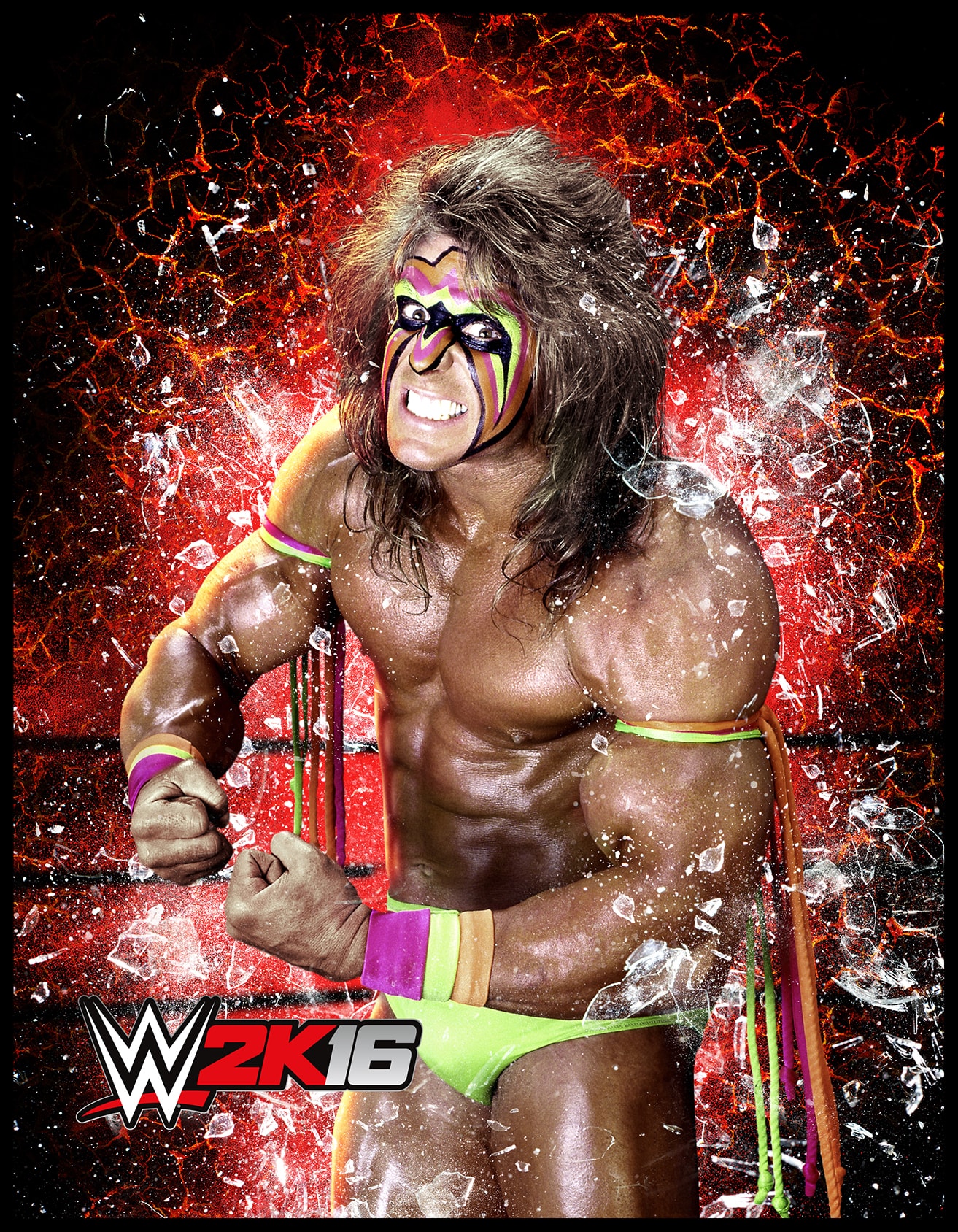 WWE 2k16 Roster Cards #27