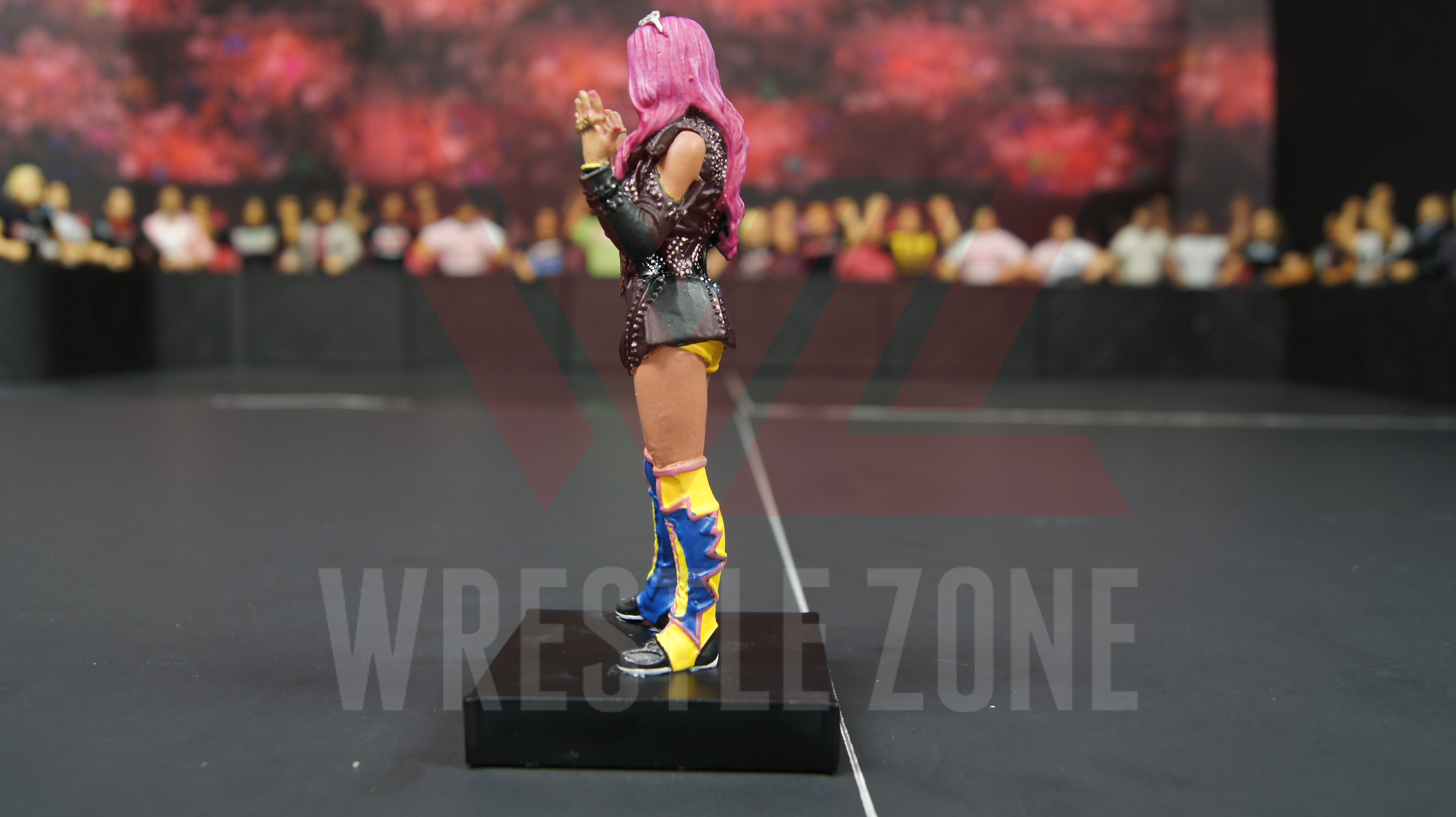 Wwe_hero_collector_sasha_f