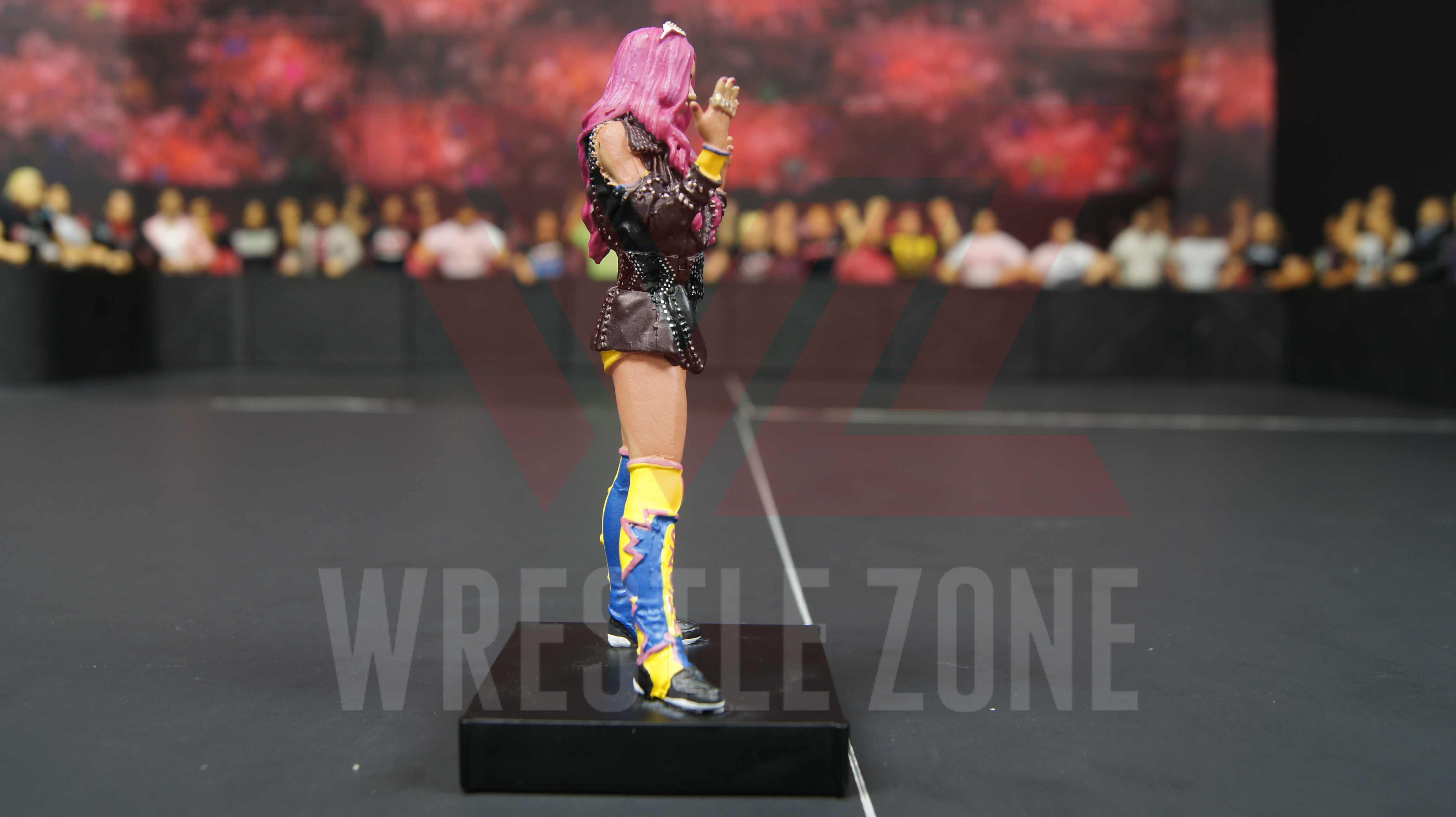 Wwe_hero_collector_sasha_h