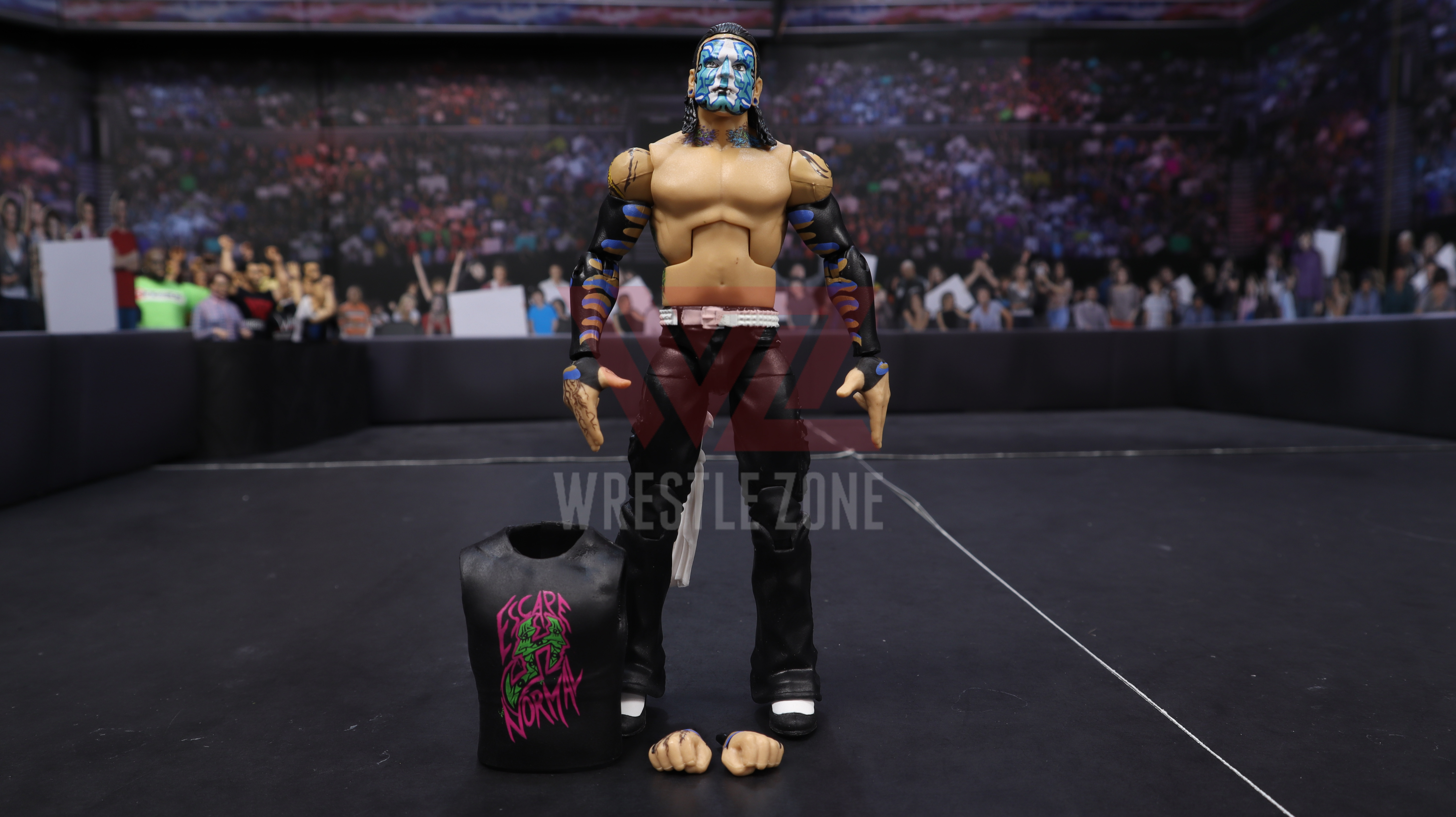Wz_wwe_elite84_hardy_20210203_2640