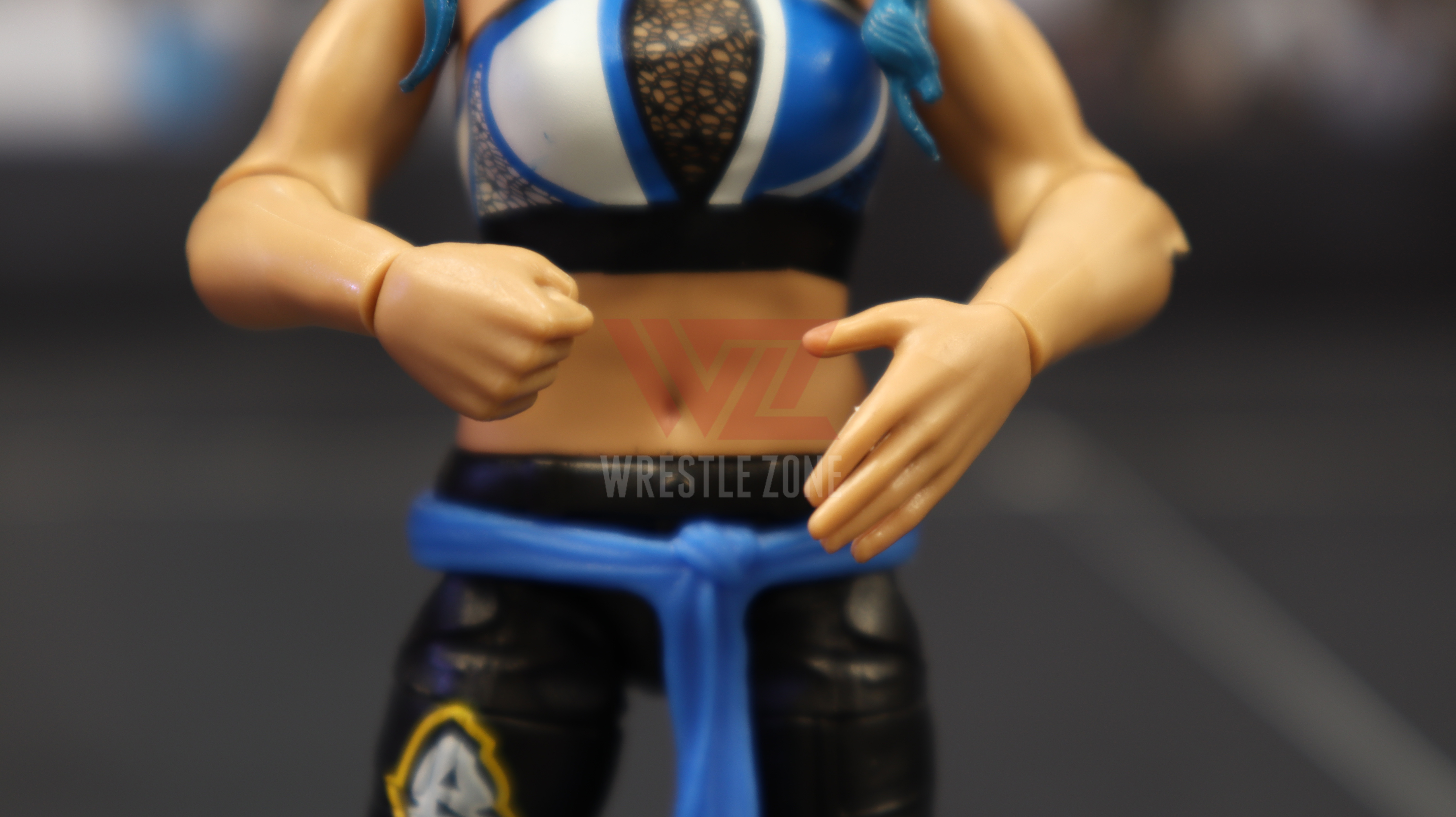 Wz_wwe_series113_mia_20201021_0785