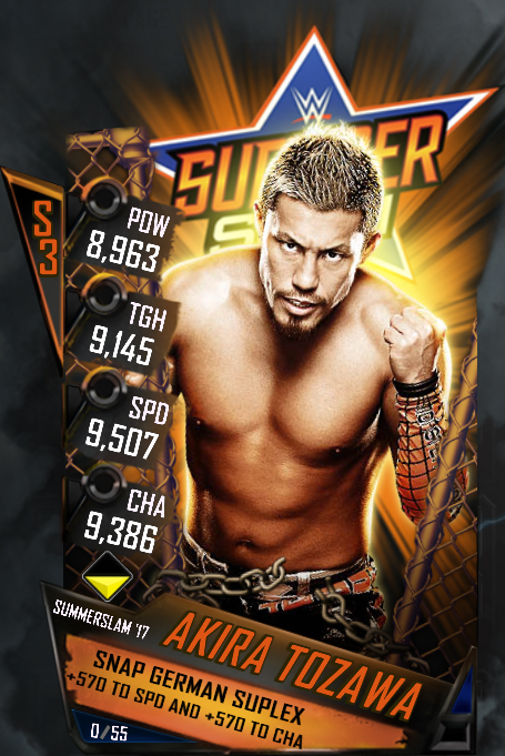 Summerslam Tier Akira Tozawa
