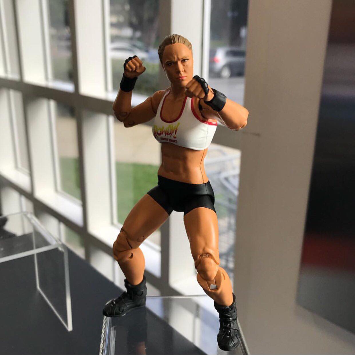 Wwe Ultimate Edition Ronda Rousey 1