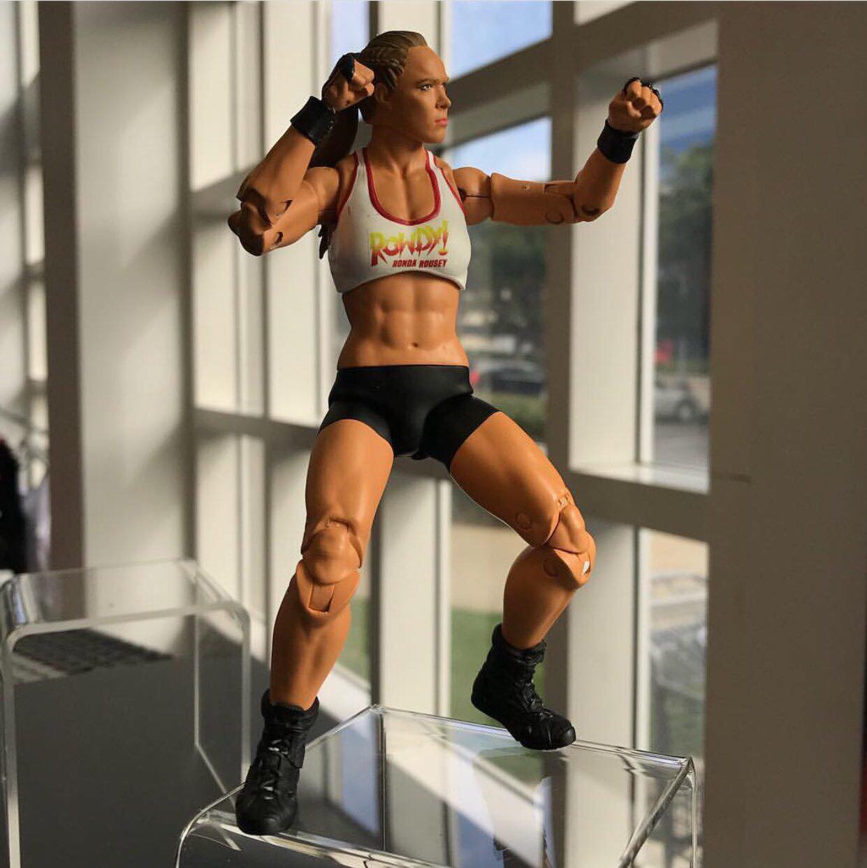 Wwe Ultimate Edition Ronda Rousey 2